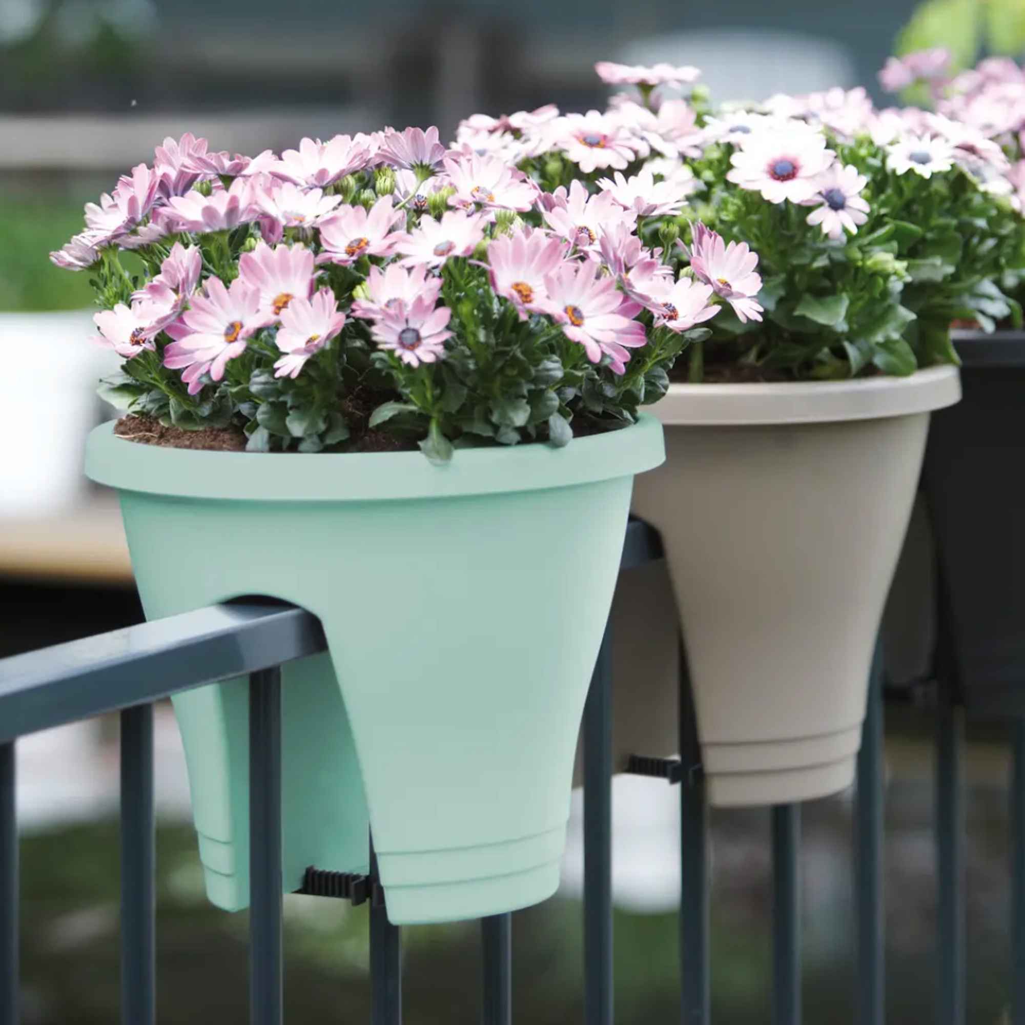 91e28ed254a00f7bb729d4703a3e9233