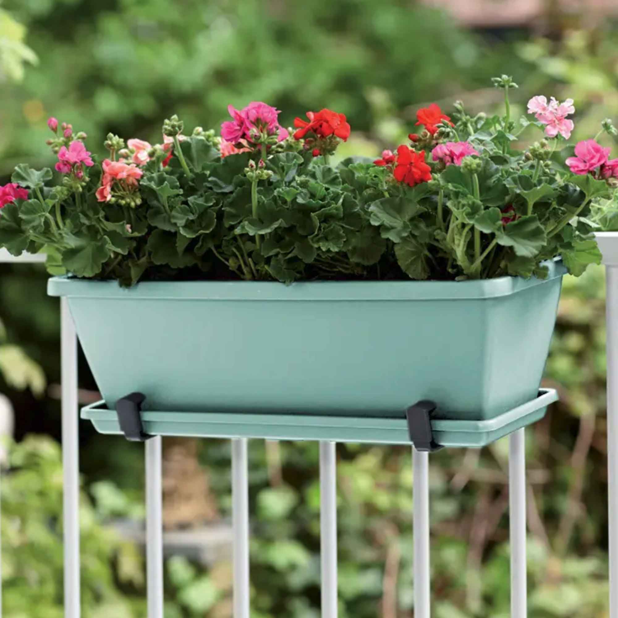 6ee5bf073115518cc19cb3a38343ff0c