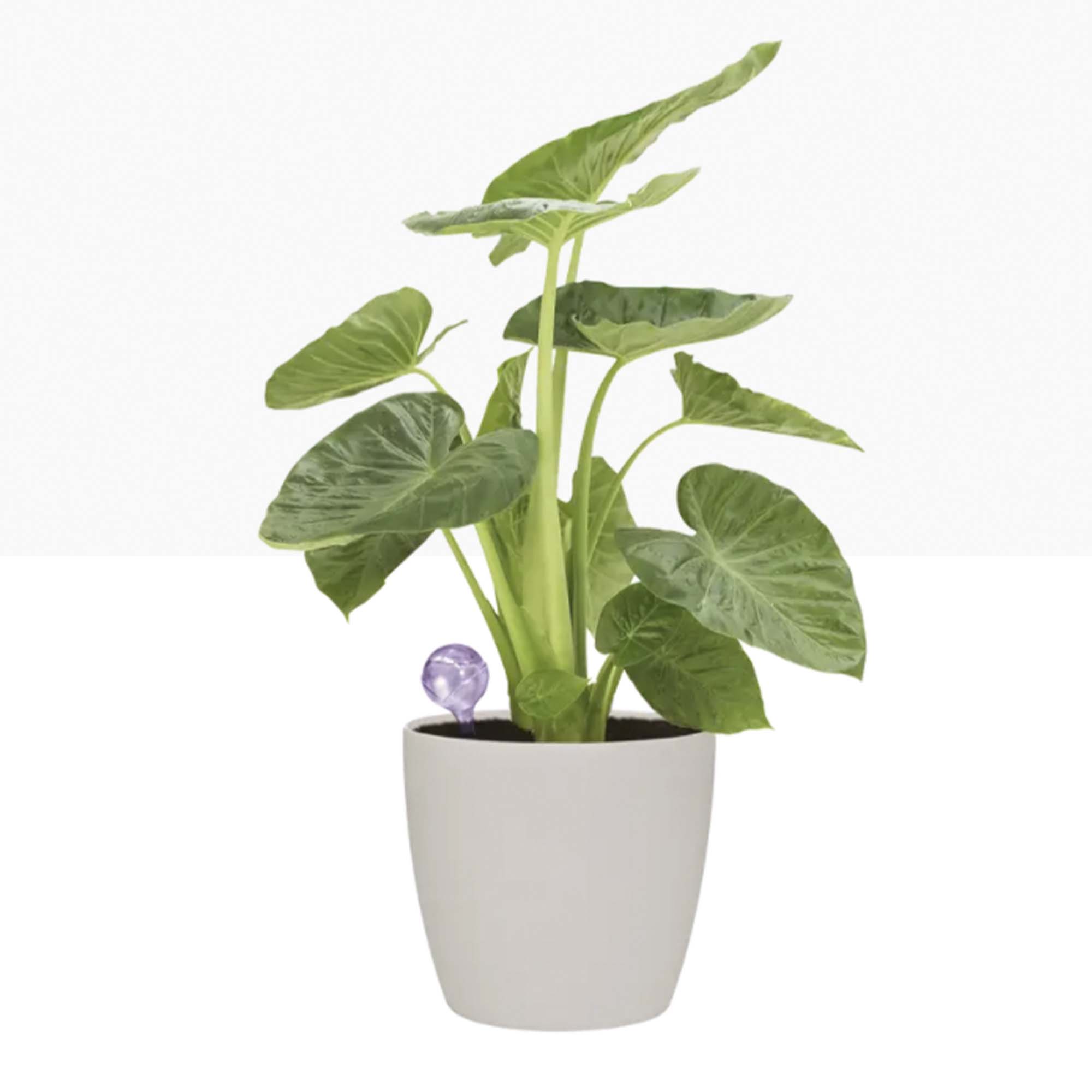 c7191c4d7327bd6366755eba6d75e562