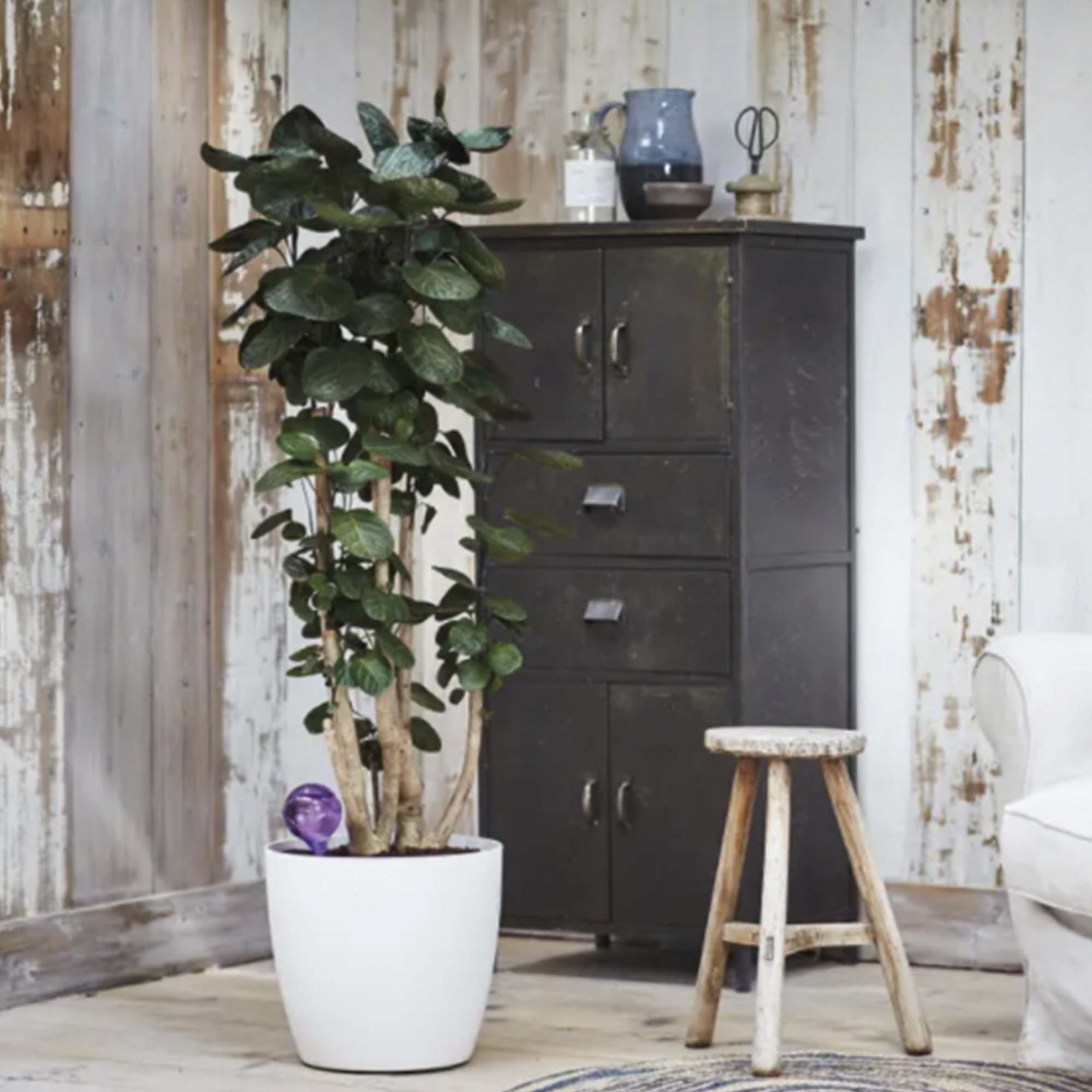 4074013ee5d9d46b149ea424c51fd9cb