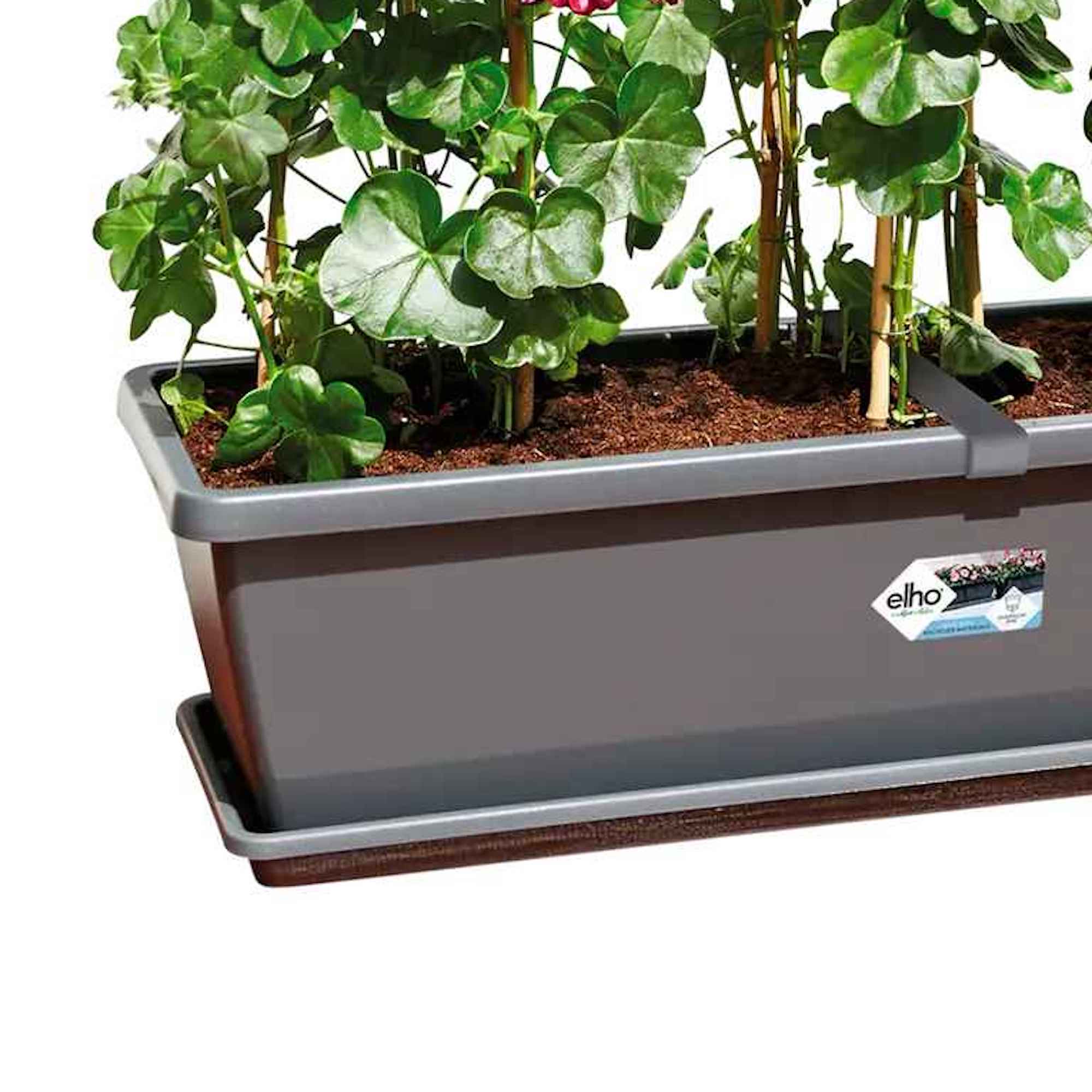 41e16ef9c635ceba29351fc8f294cfd0