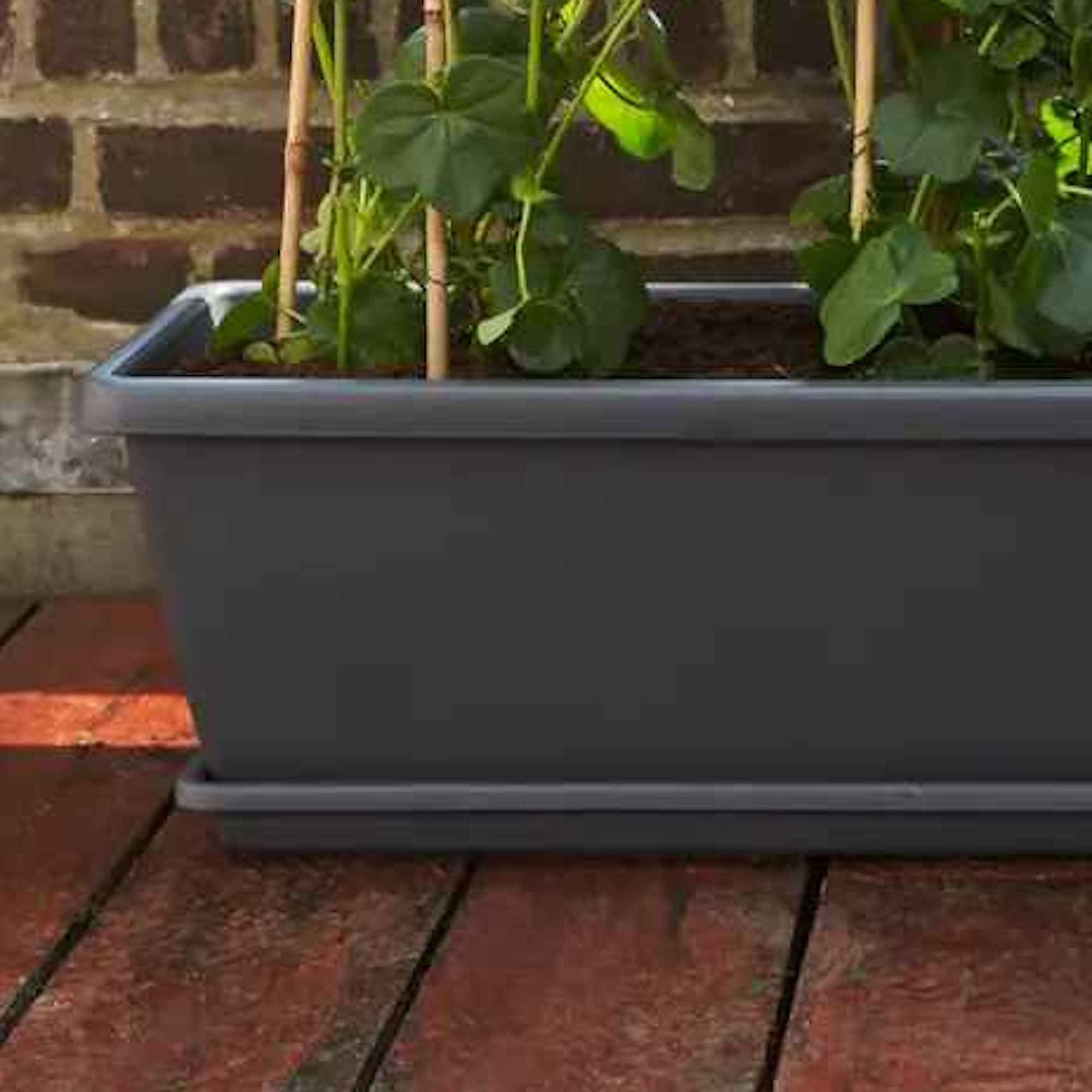 f2435eea59601de3d3318ba35f3541fb