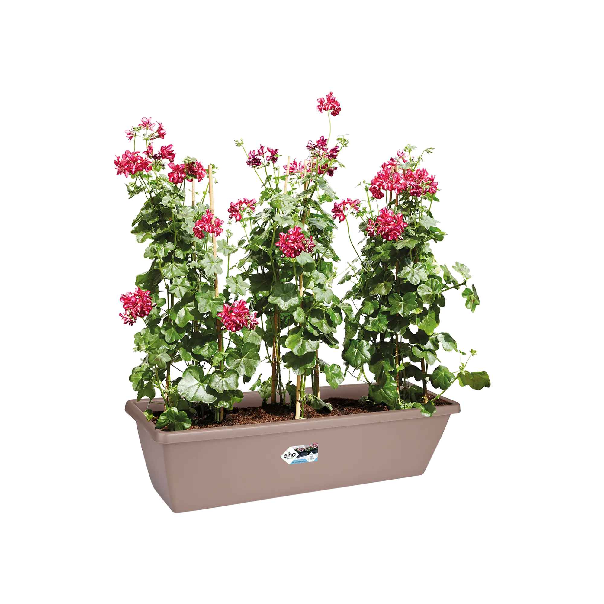 c9cb045eb771ea9b545535cedfb99230