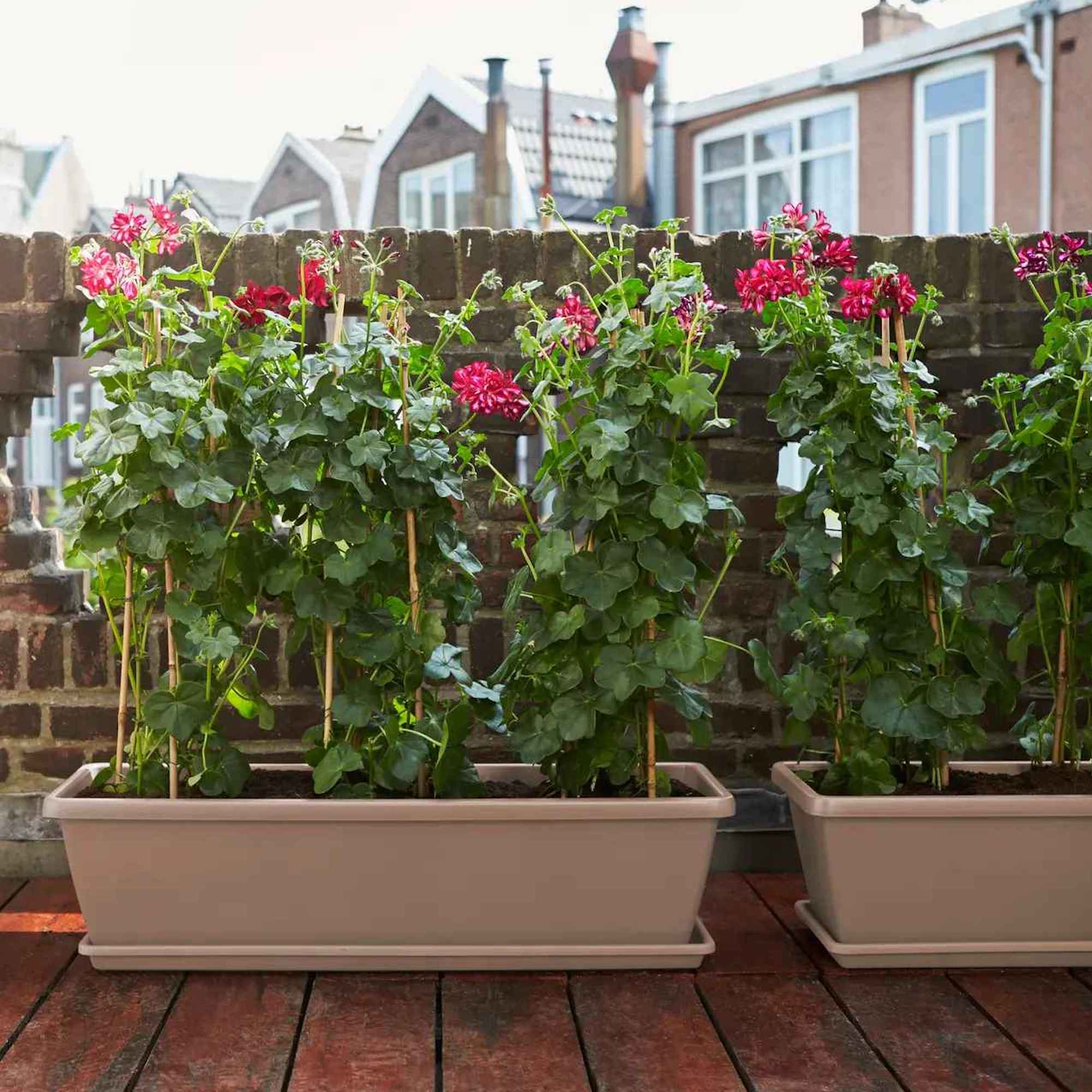 062d92a758f851d020107ef9c331e474