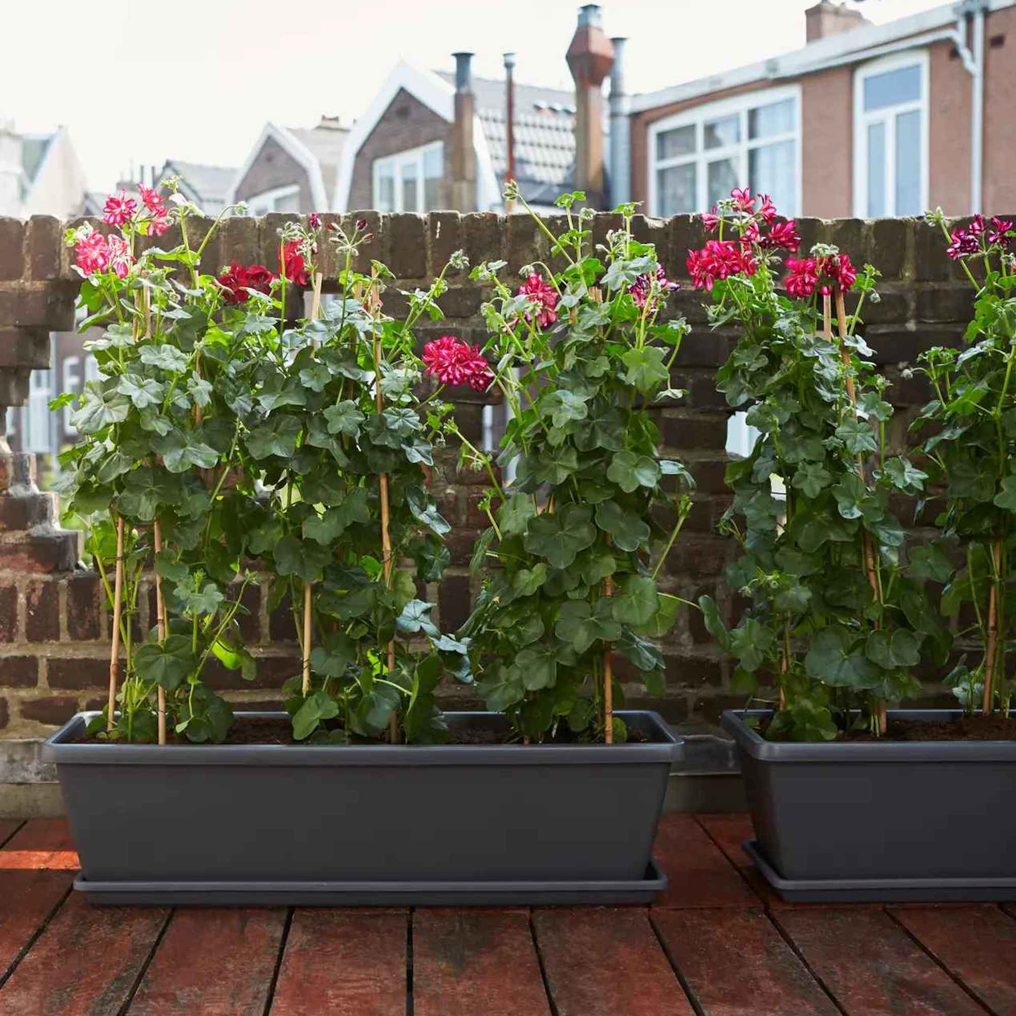 8ae442b98e4f4630973efca86e06d857