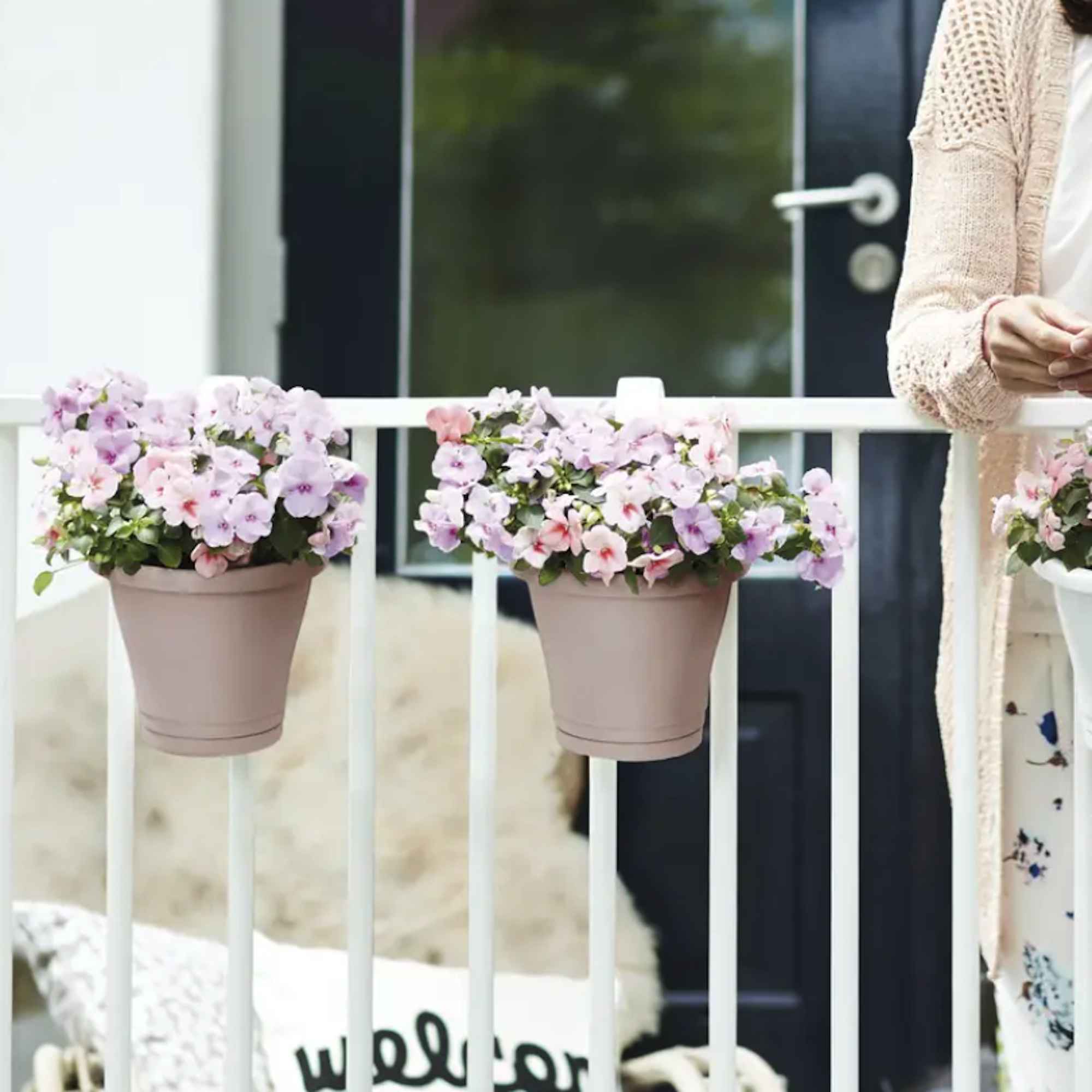 cc0065ee6a86f54ff29995802f80b399