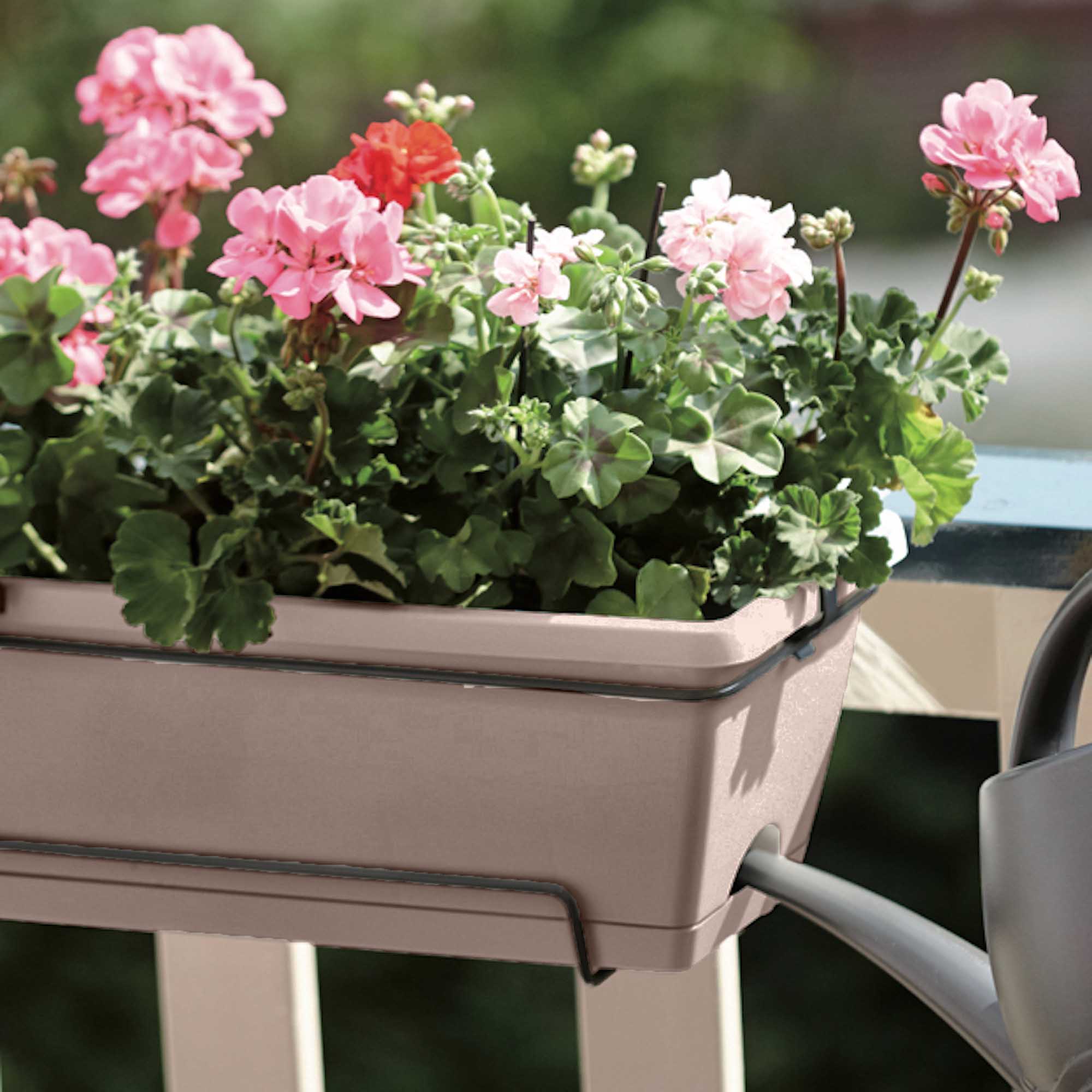 9797bf3e66c0cc3bca7d04618e63218a