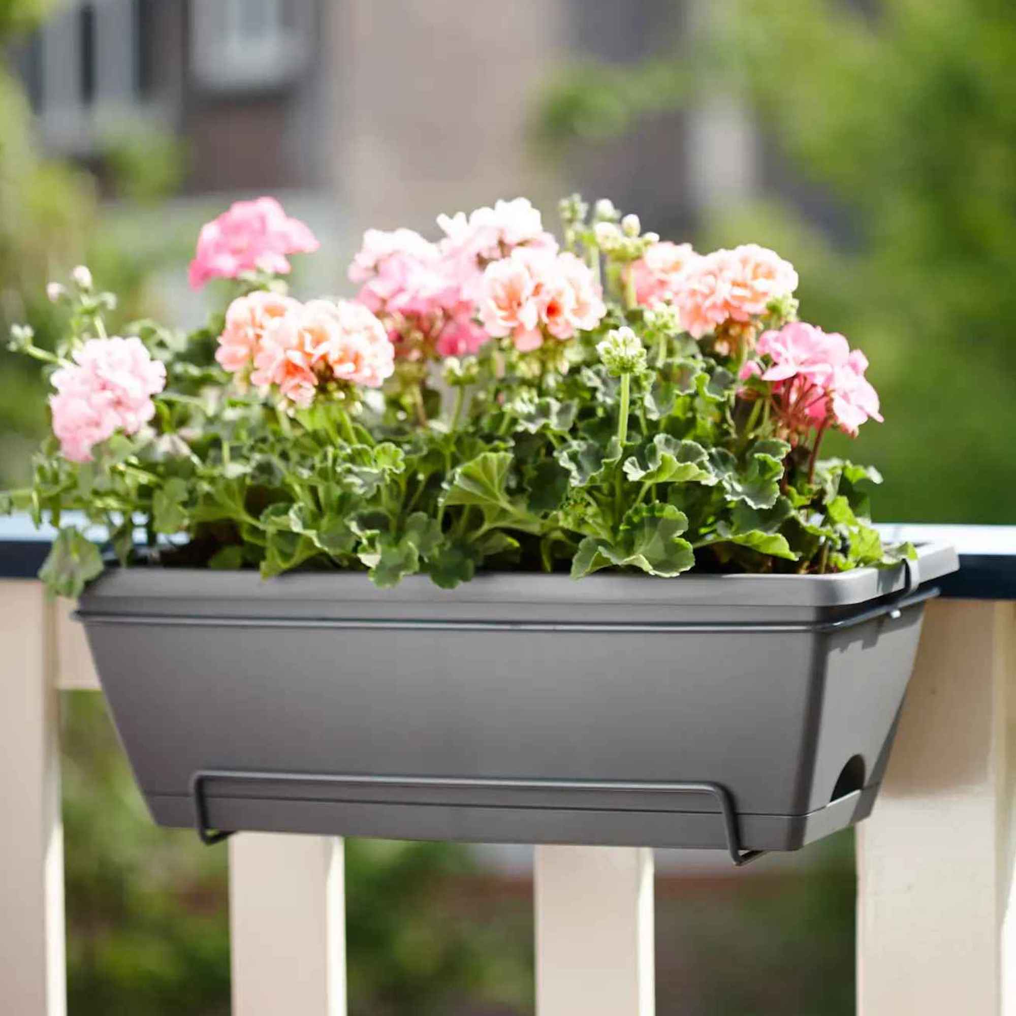 f263ece4040d0d8f98ac143765c8e530