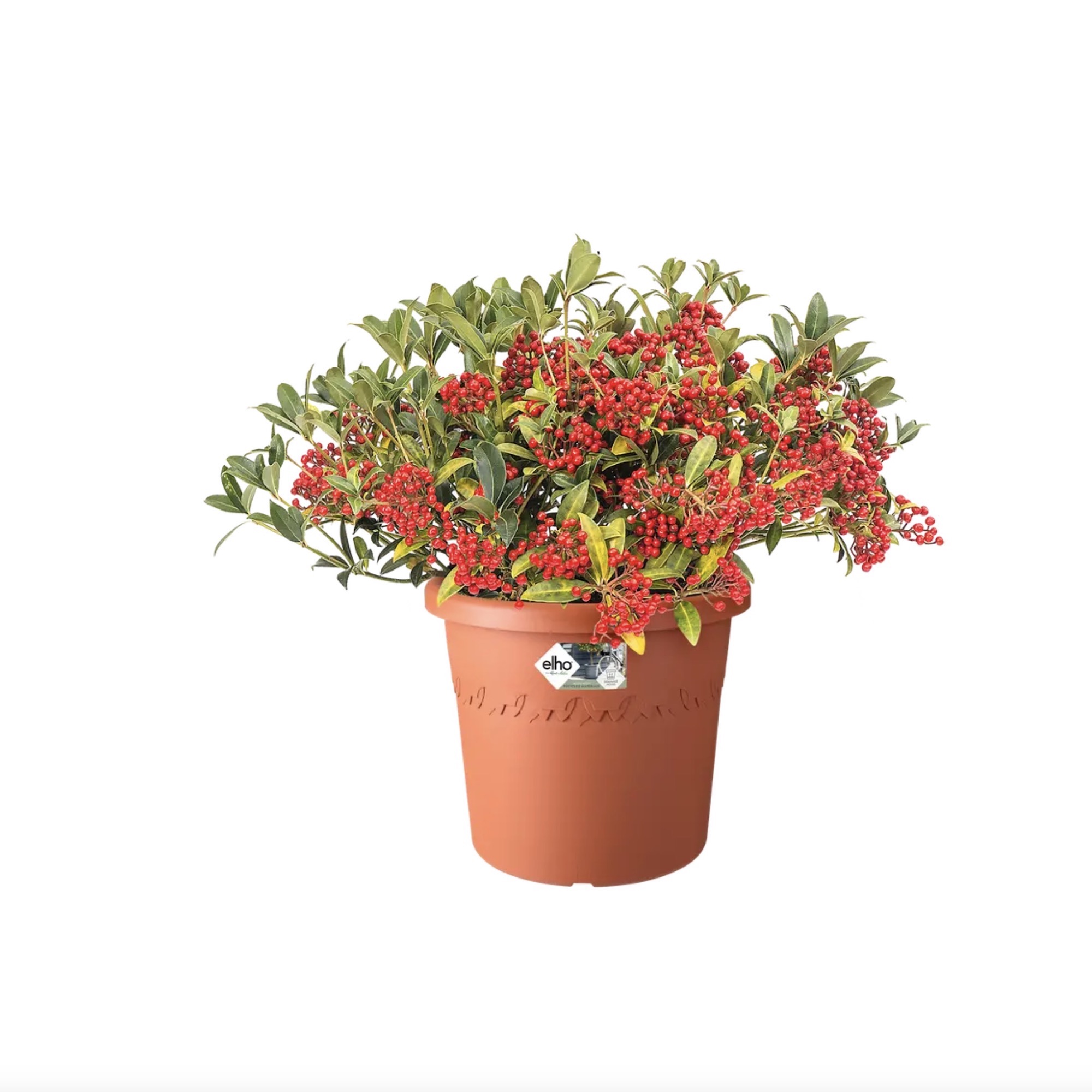 bd36011942335b43e59f23c858c6601d