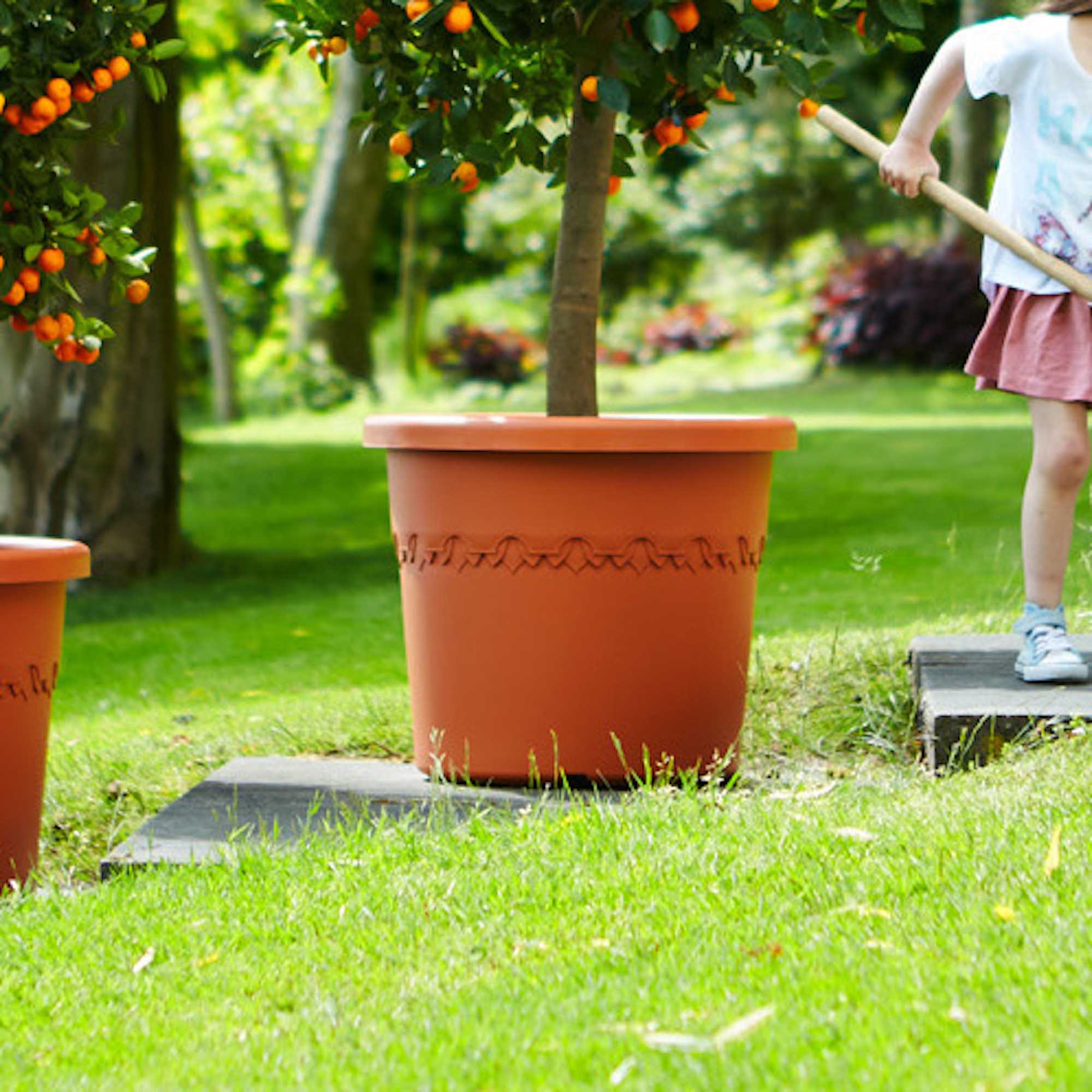 3527d60b44cc6dc39dc0adce12c01e52