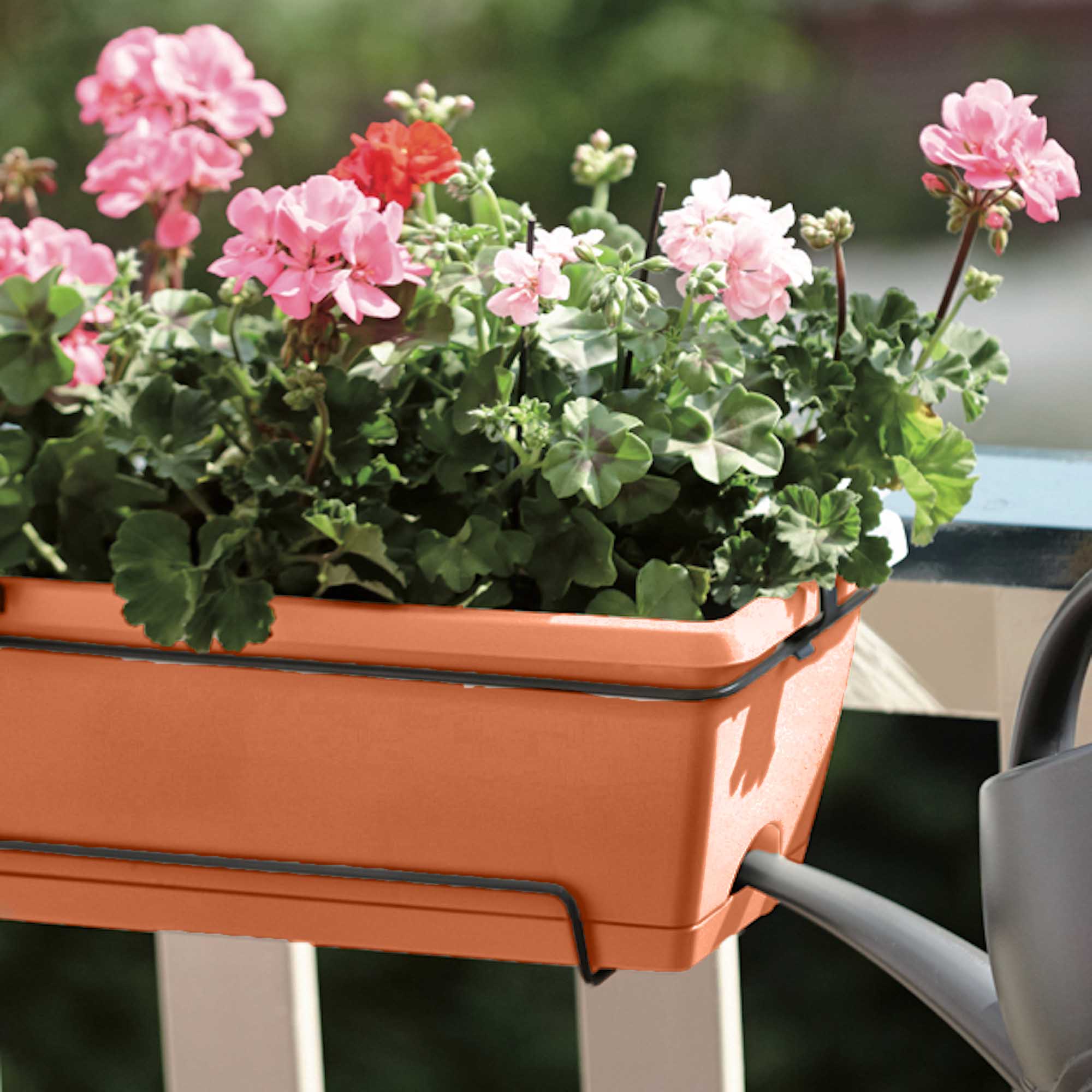 fecb6f507ec81134cda1bbc21035aa7f