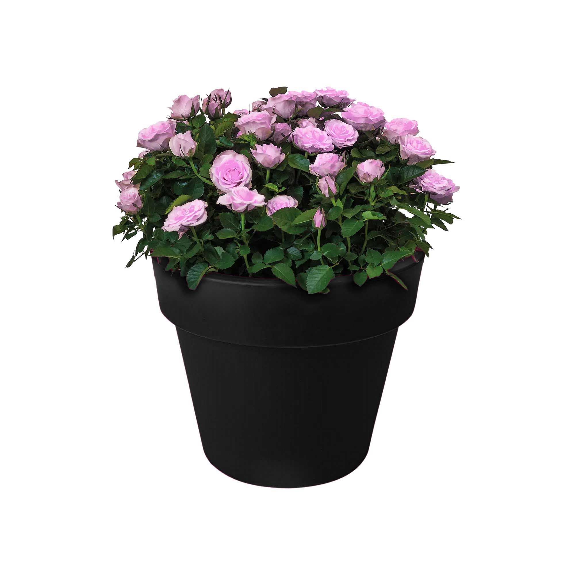 658153051d14f7dabc01d3df7acd7eb9