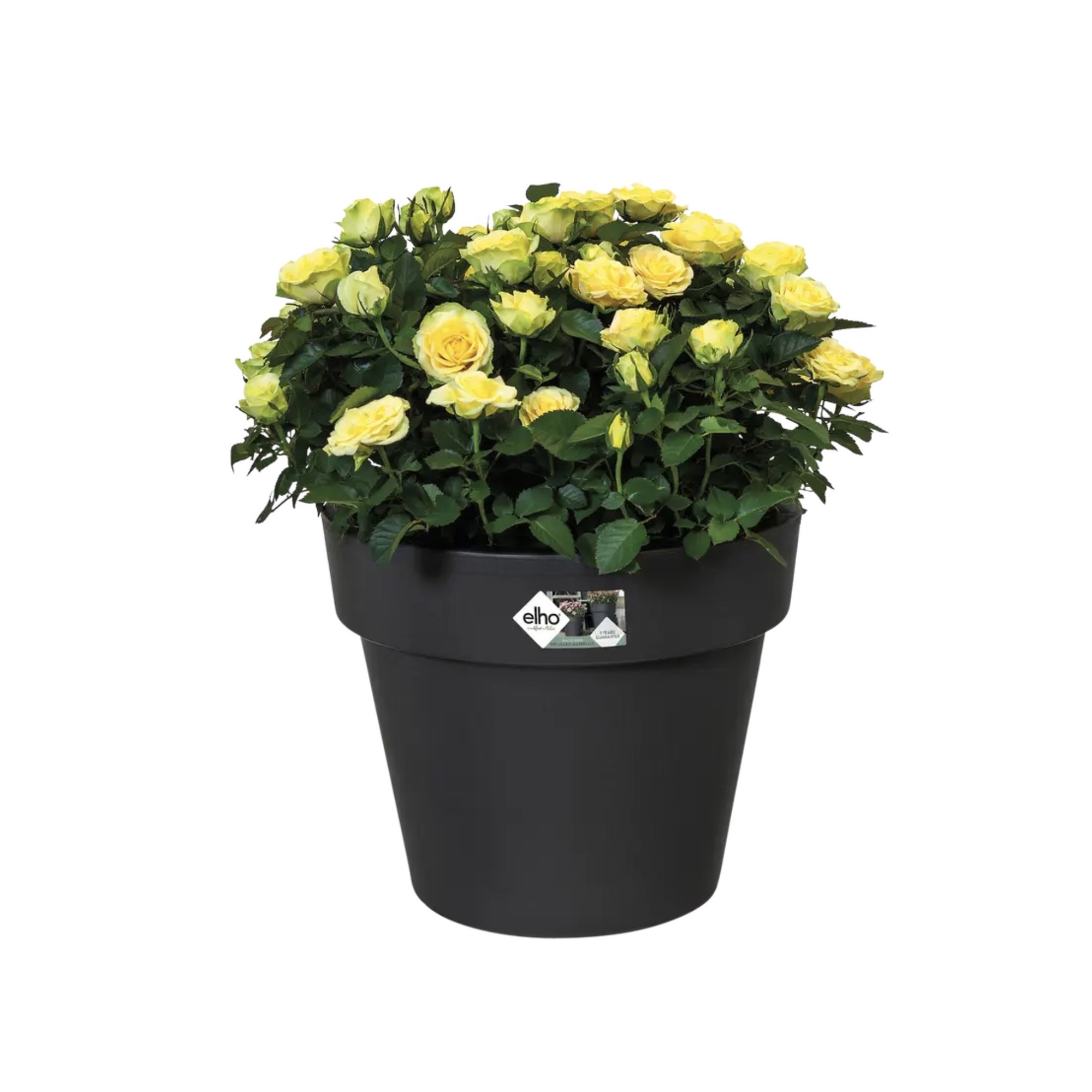 e26bbdfa453eedf52e17687a730b90c6