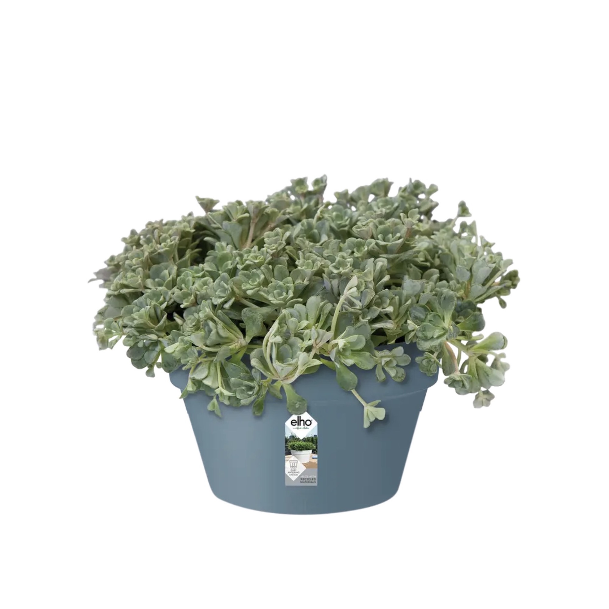 1168e74fbb07356b6867accc6caf75cc