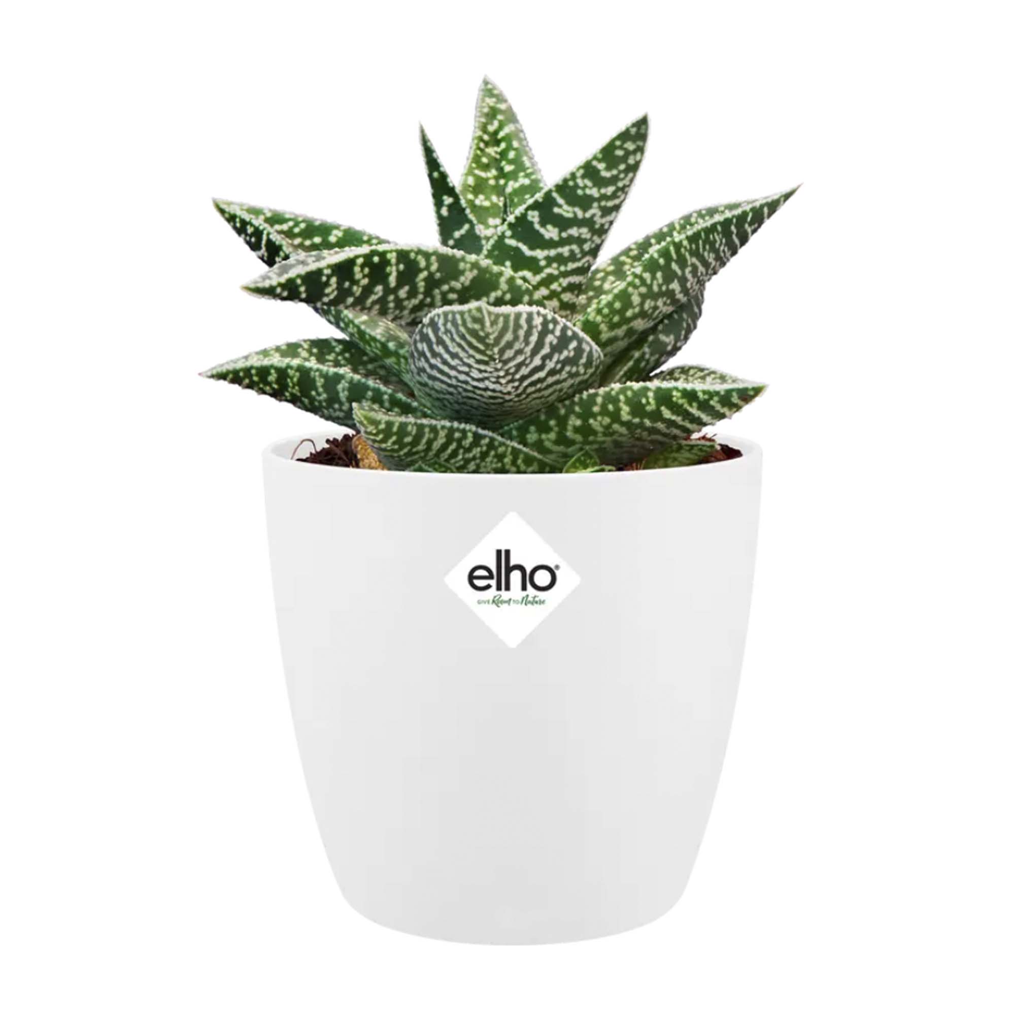 e64cdea967b657e464e266c953f4370e