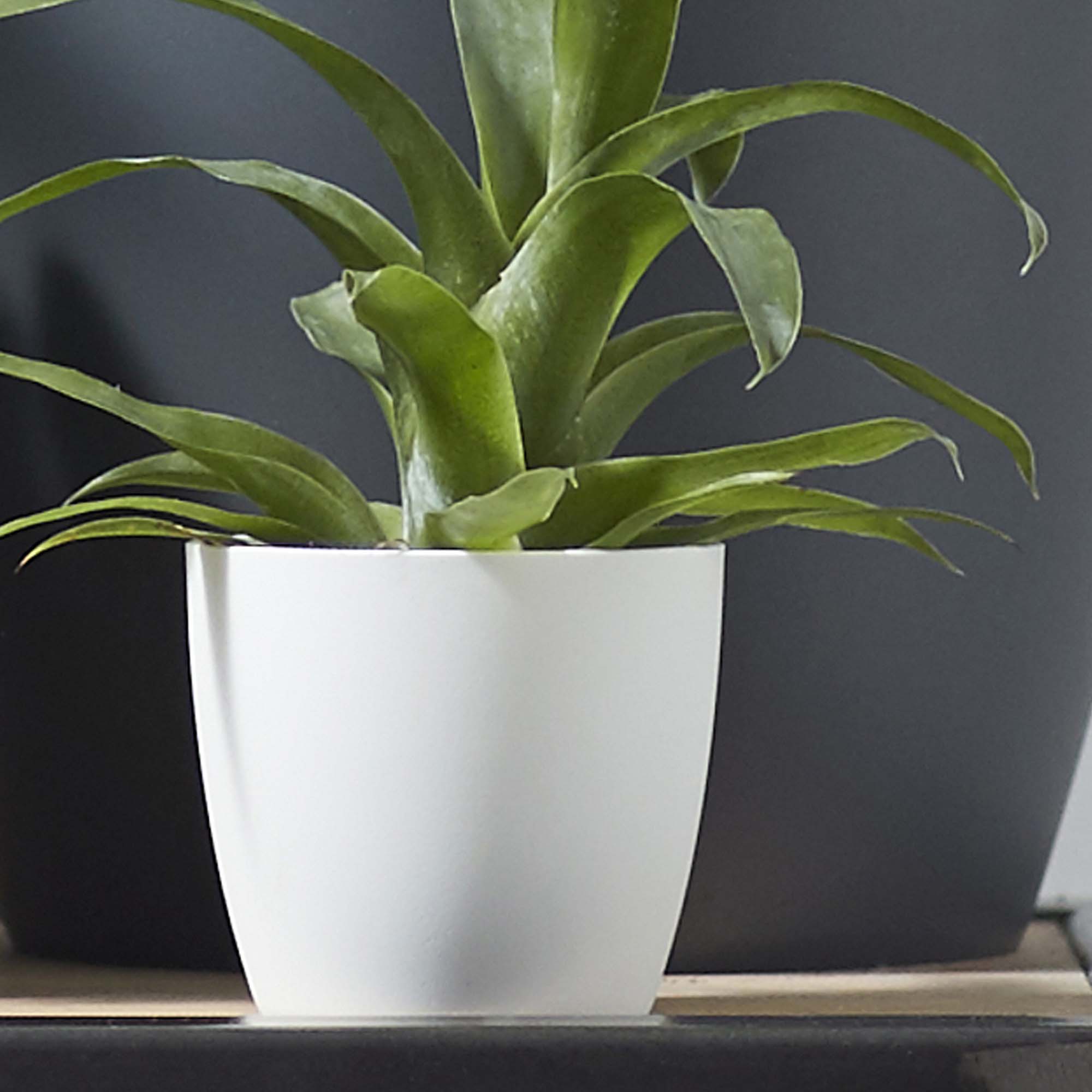 7443a095e6d63c14b91a2822aeabb896