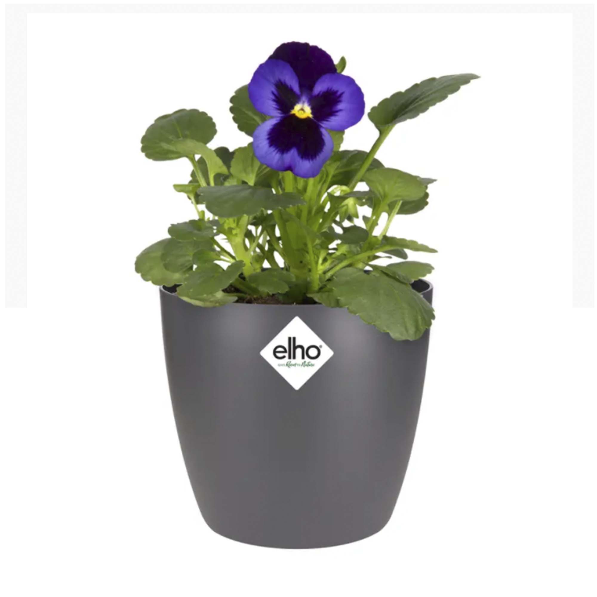 a247ffe929bc7a8c273a7a66a1252e43