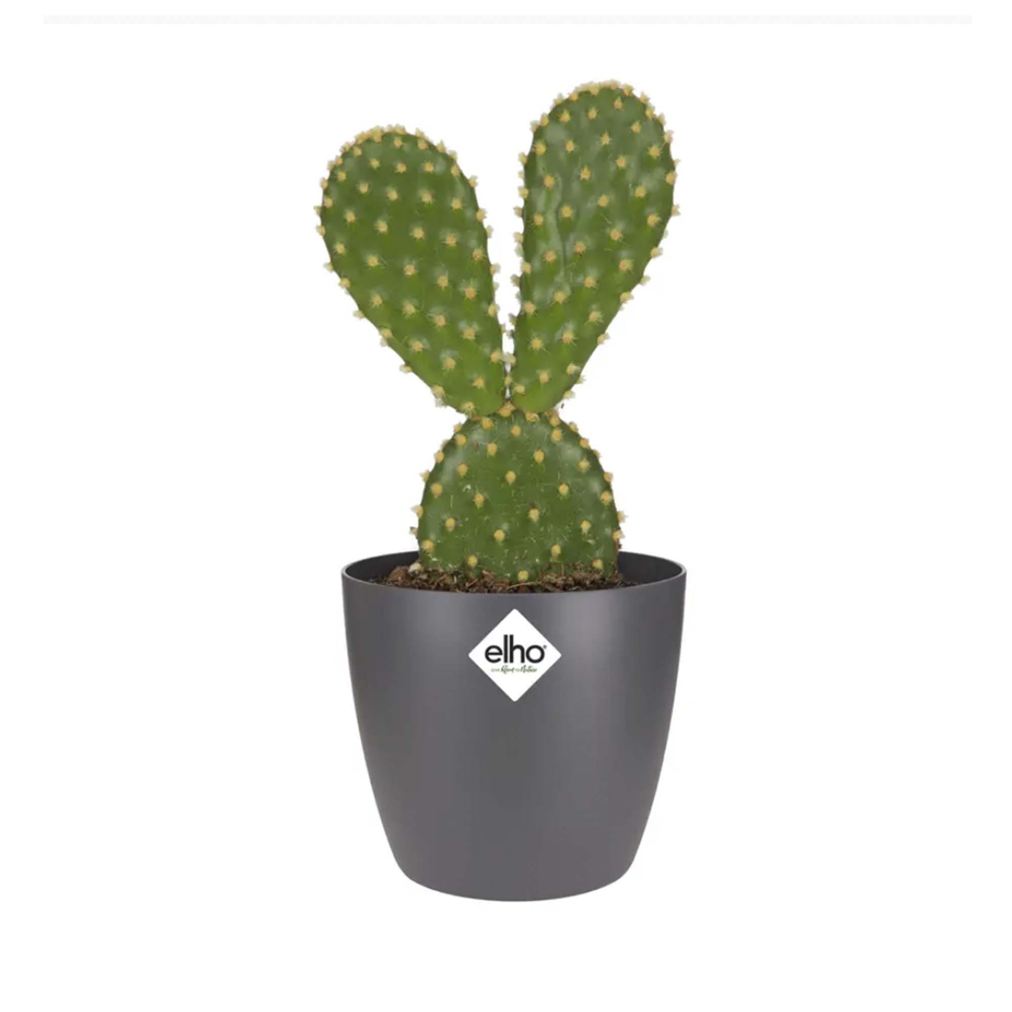 82c31cae1626ae929b713abb24dd6d7b