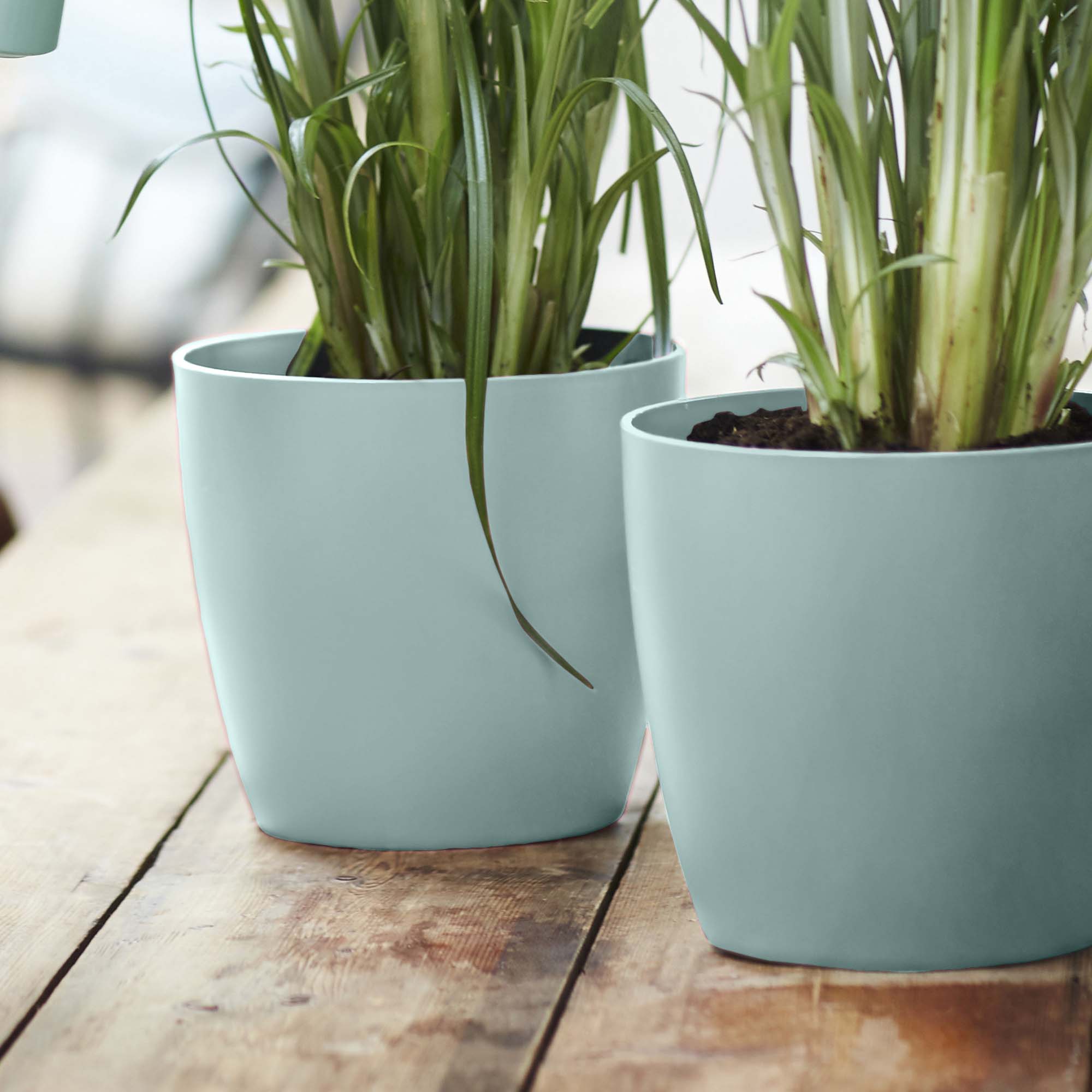 e500b2ba20d74b12a5b64b61b0b832c7