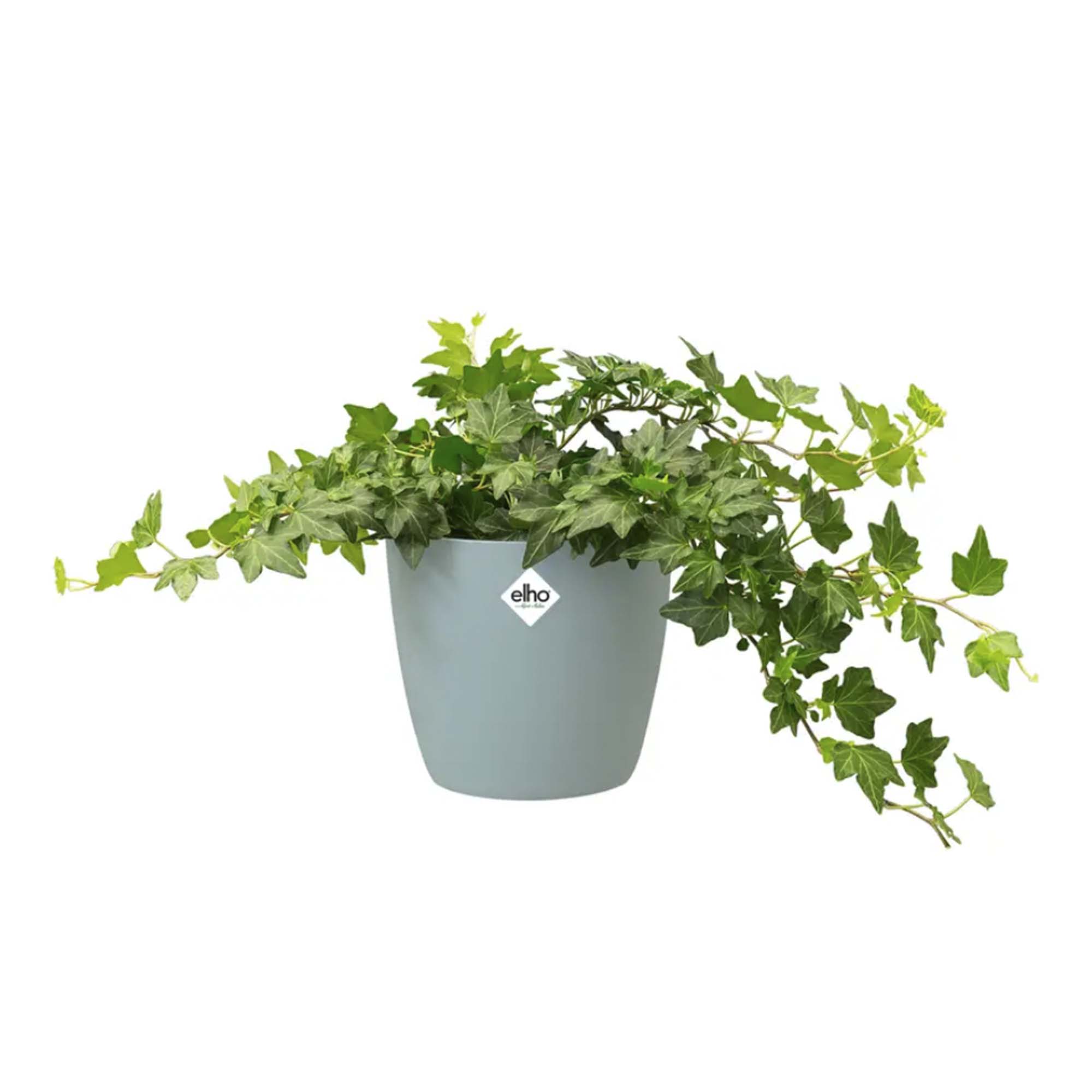 594d1a12a6a7bddebc3df5e6da297101