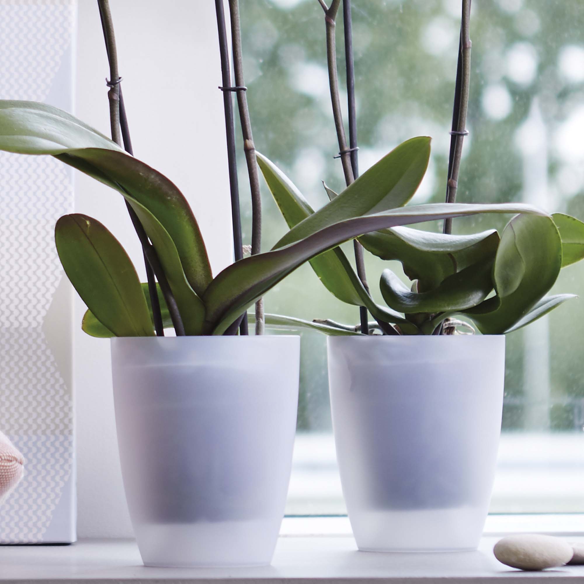 6ed69067b7130cea7a21750891eb3de6