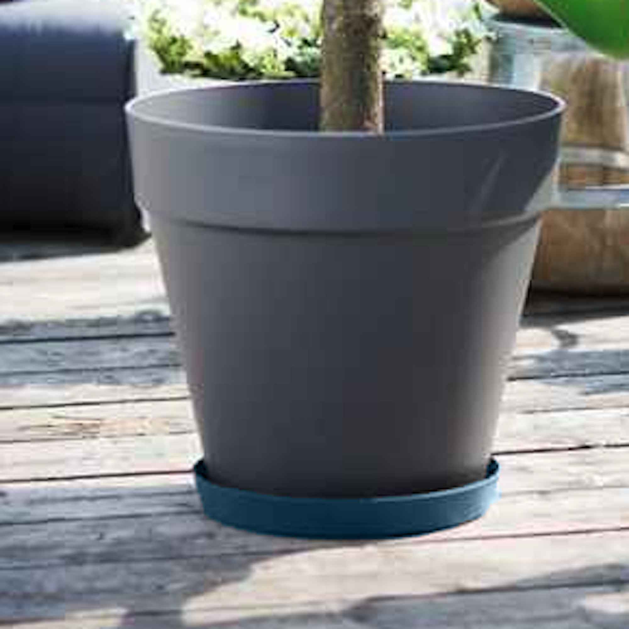 3616ec08449d465d6202ebcc67d7e03d