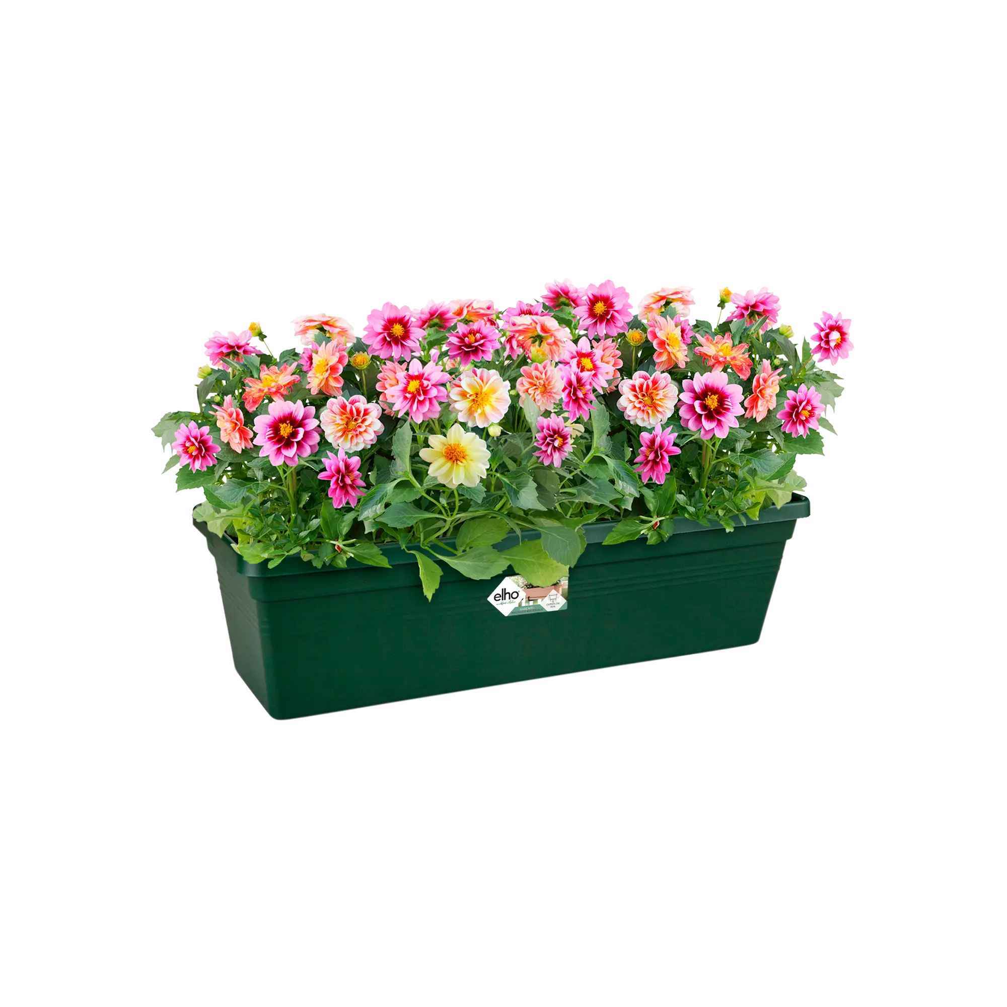 ed51356c9db0b1b32914b5174fa11932