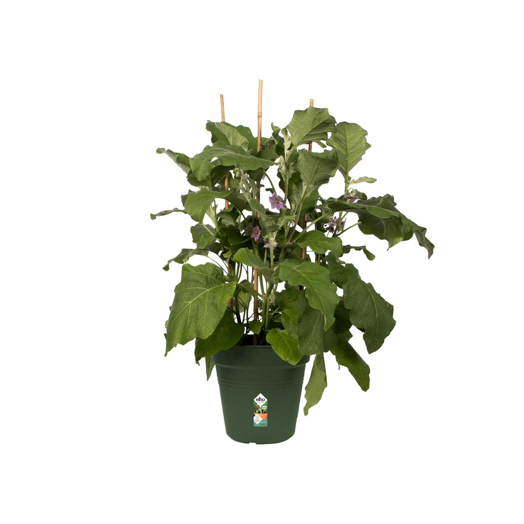 e5b2e77e943ee04ab7e8a3159206c98c