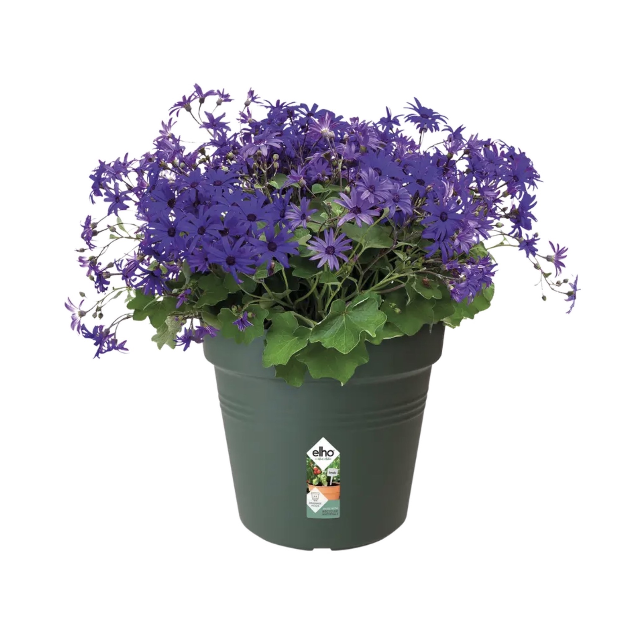 edaf62ae01b5f2f728b9ac581437d845