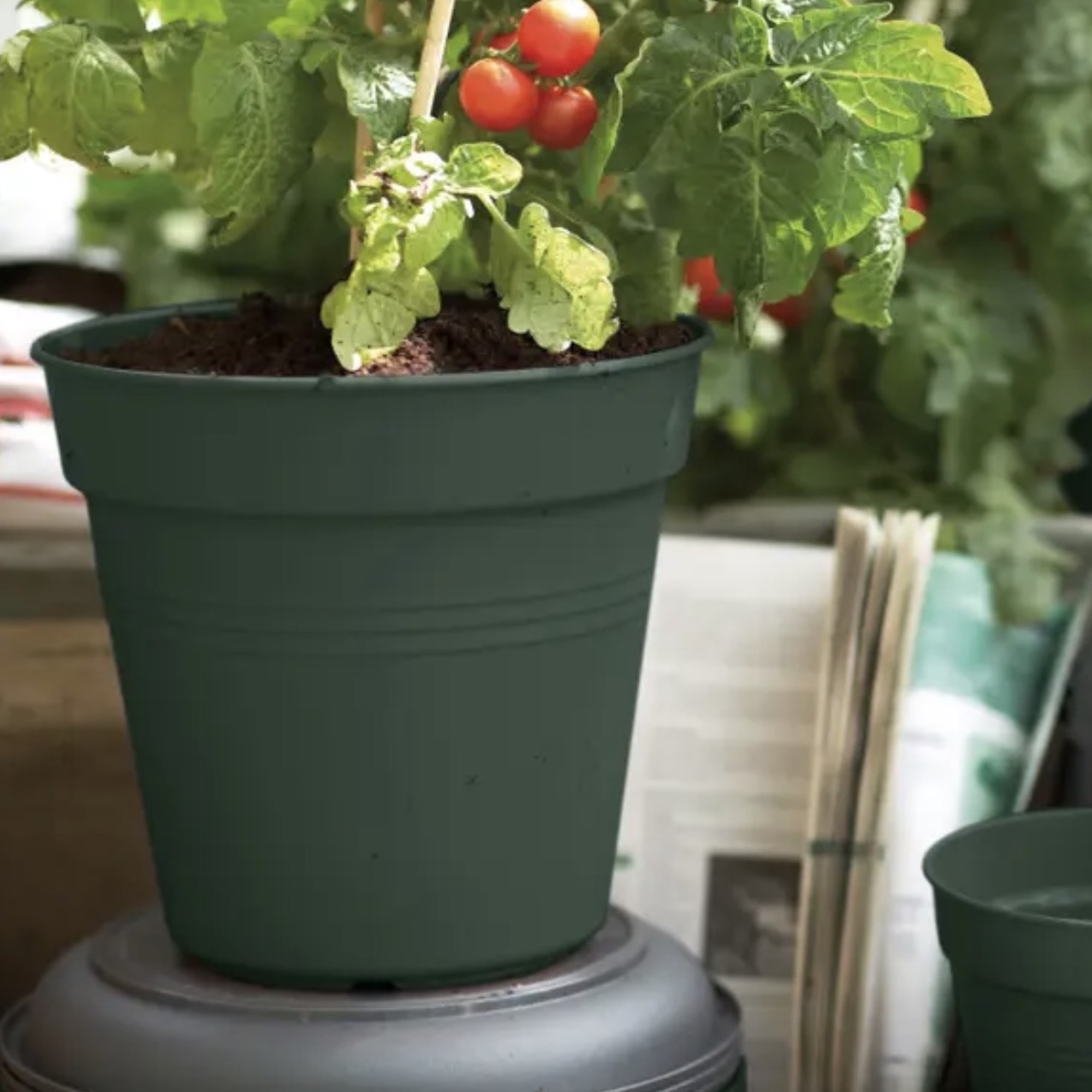 9f99ea06b0fd88b3a6f545bb11c9f86e