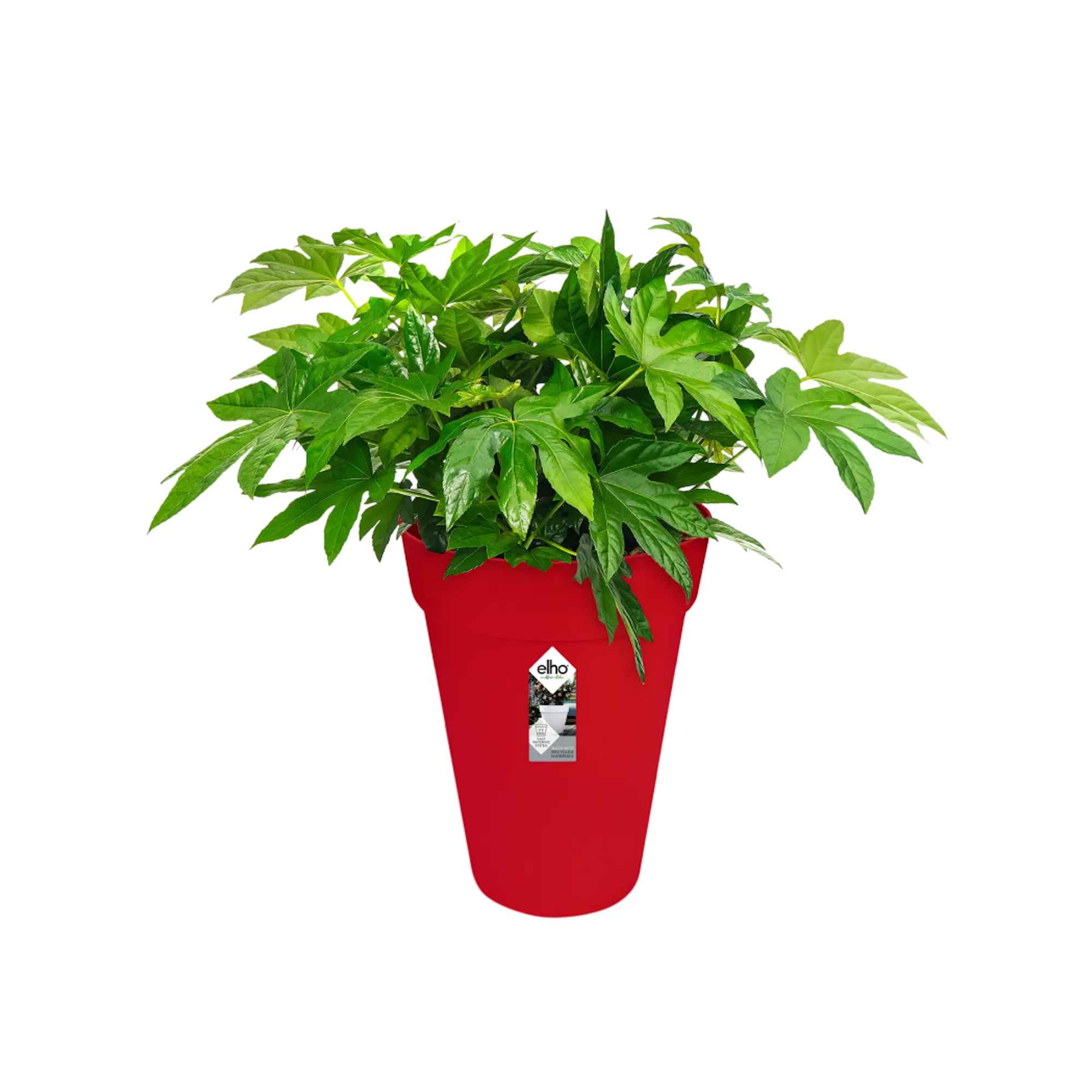 9491d8af8bcbd58eff76956e53043140