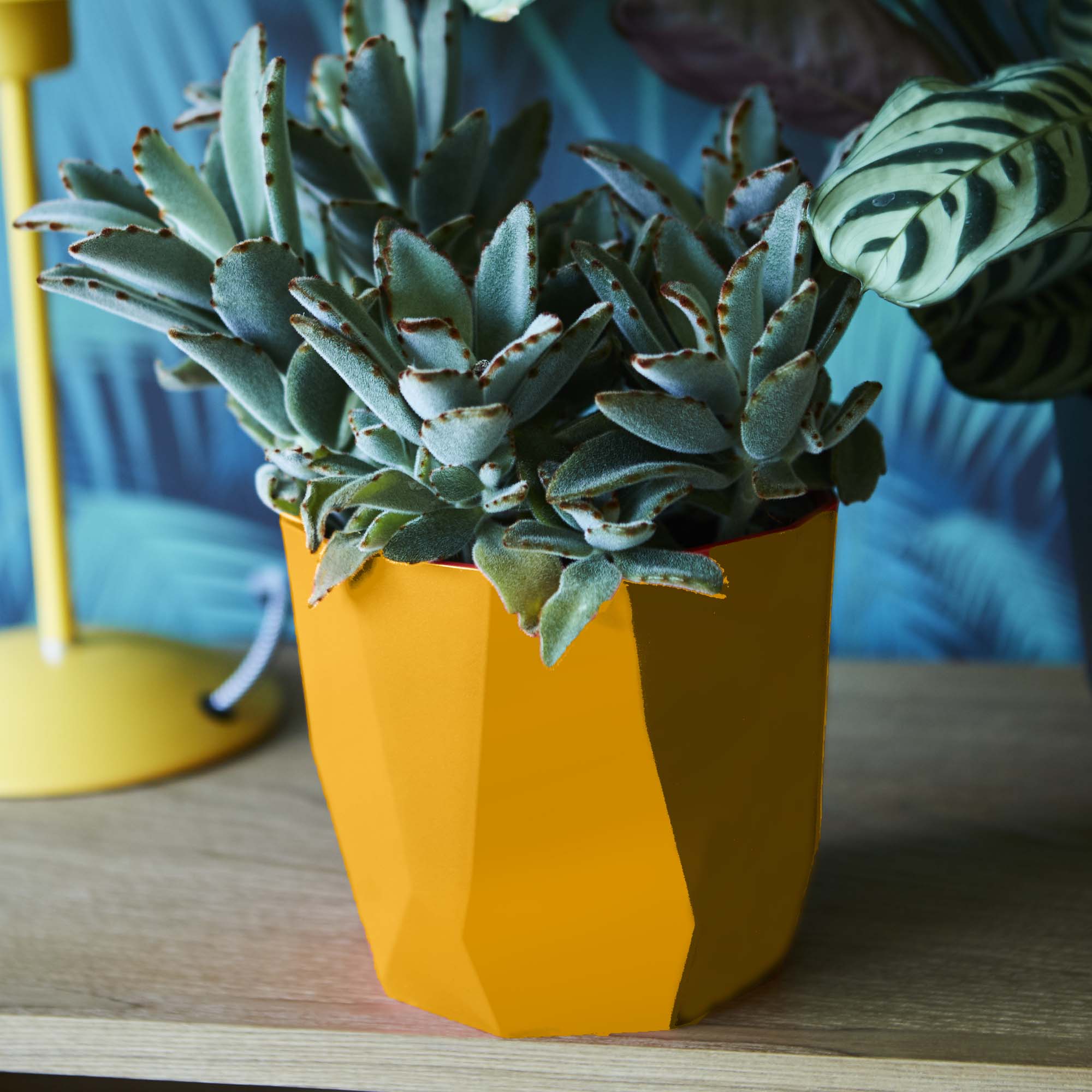 babbeff83c921f34380ac6d9e6d22cde