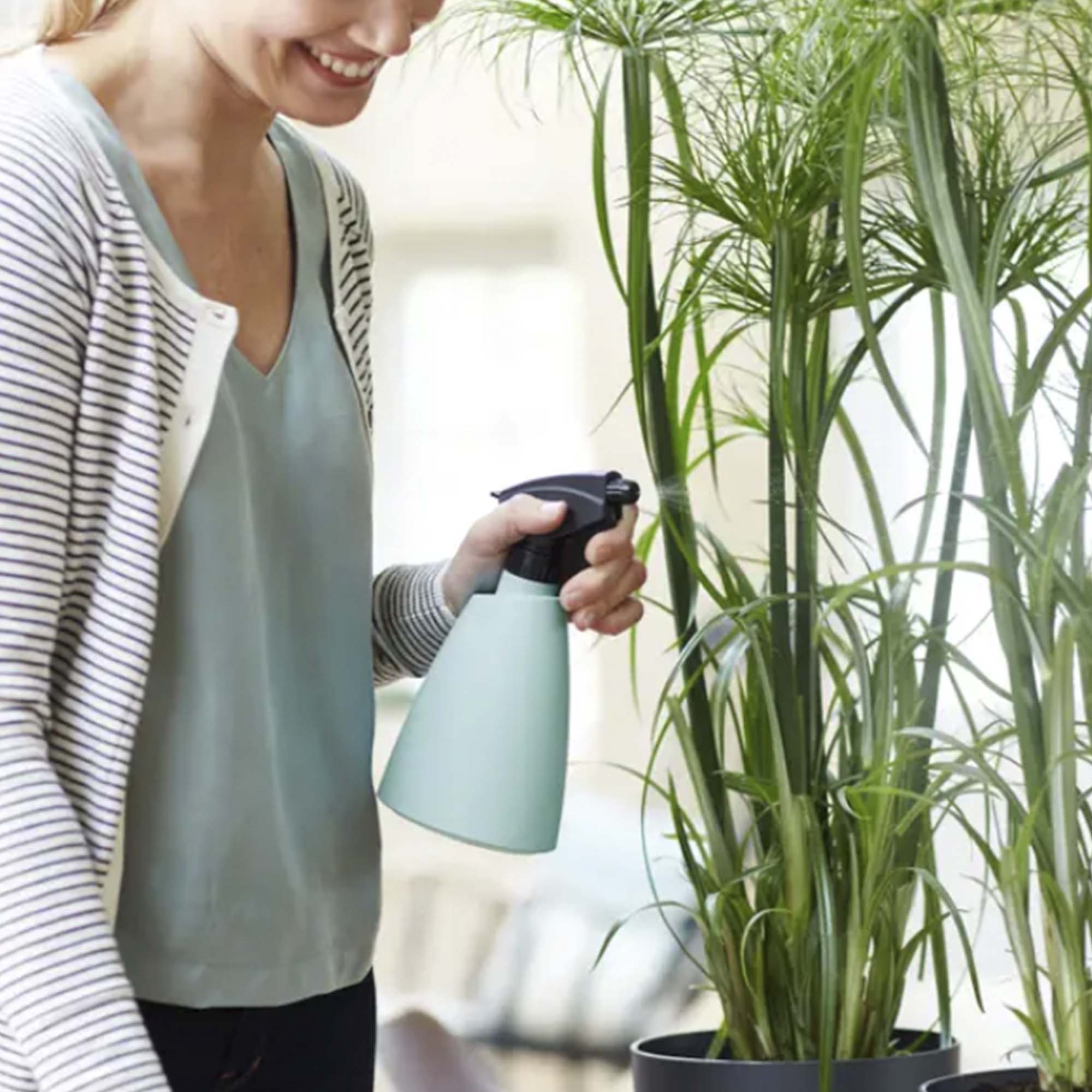 ae43509159afb9cde4542063d7399615