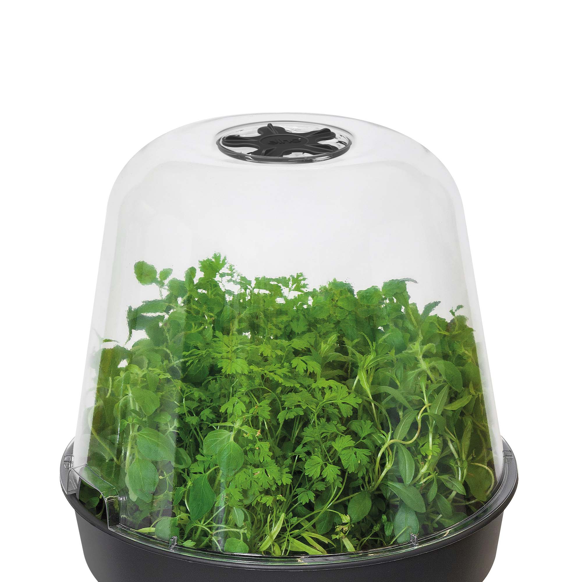 a1d4dab1cd58e9c2a4cad838c2872620