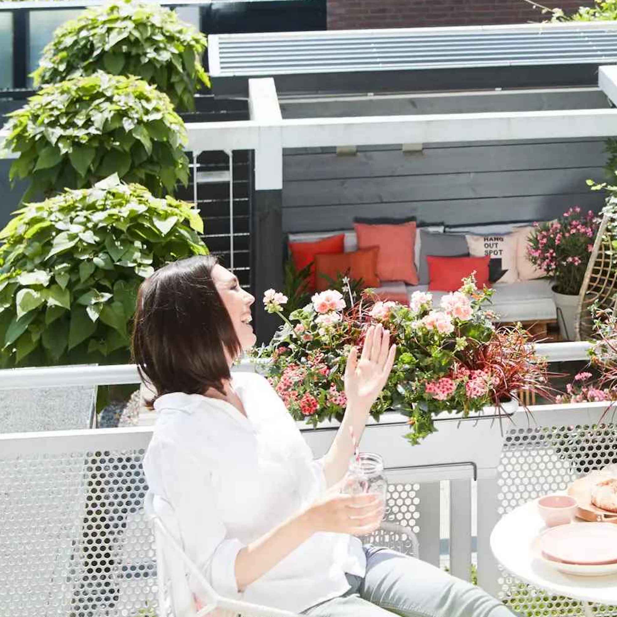 44a11f2985035760967e8b7f2b7ff724