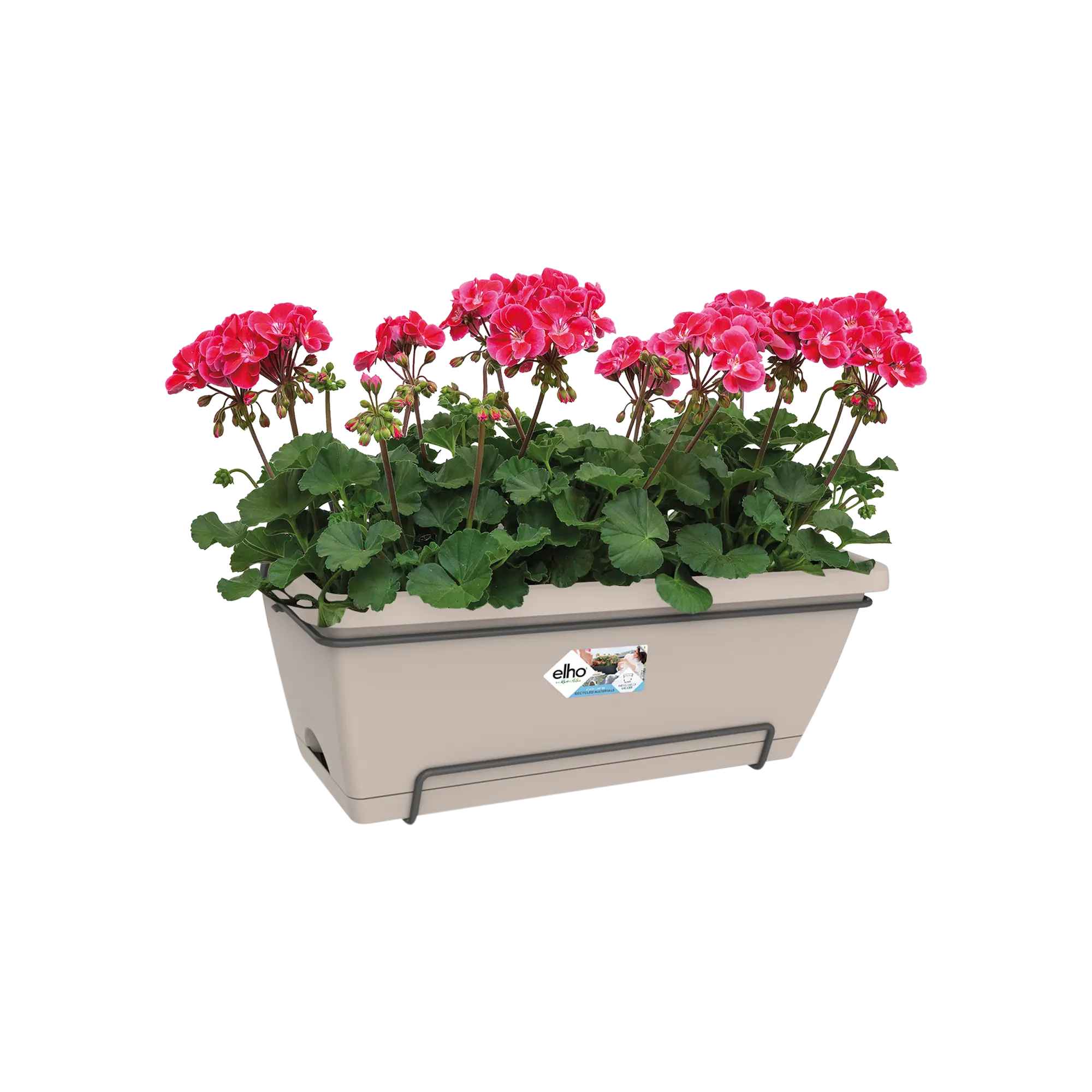 0ace22abe4ec8def2ea0e86ad5959f3a