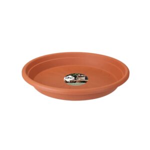 4140b5f98e03bccd78172ceb089fad52