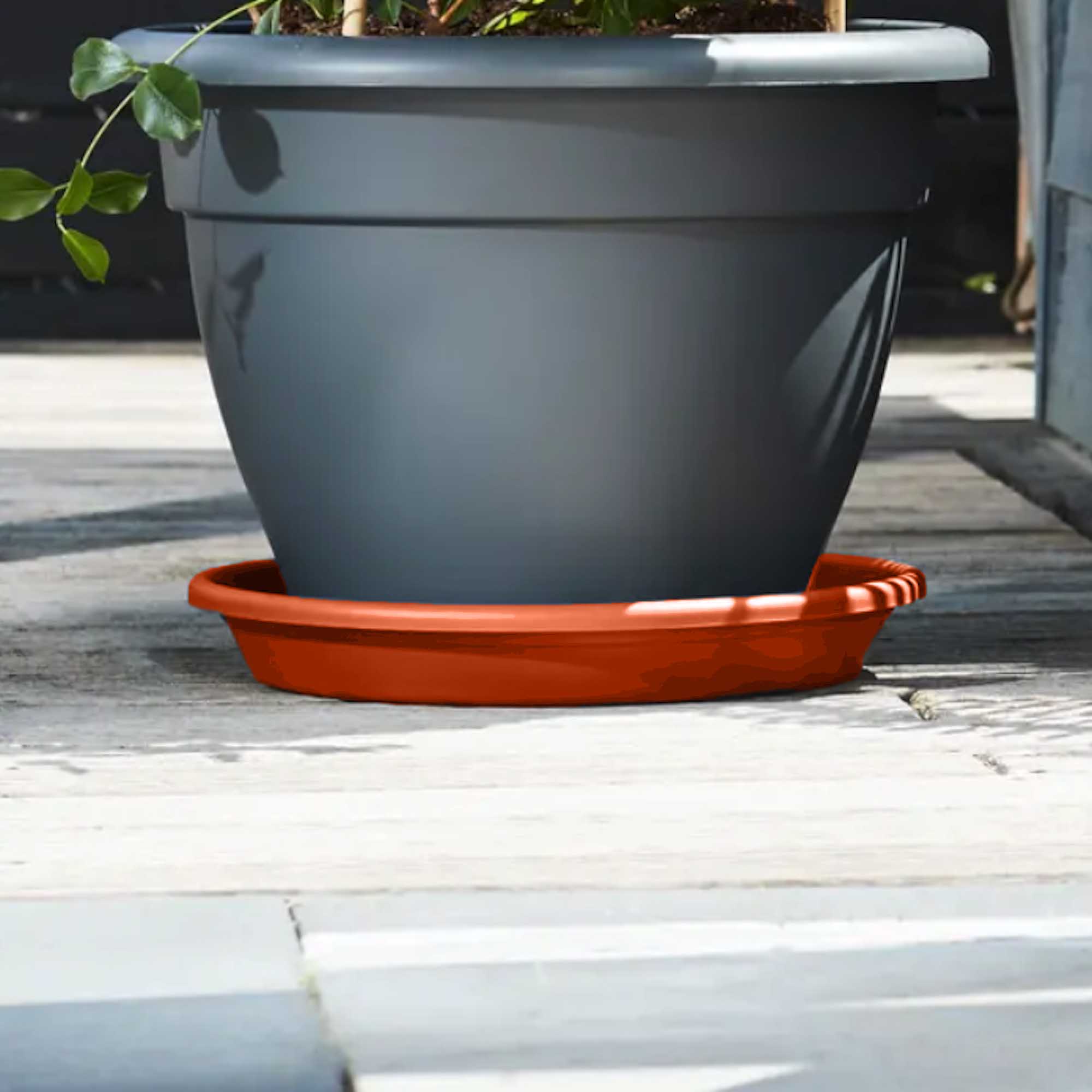 bd2c10b288e5cbf07244a74985ee396f