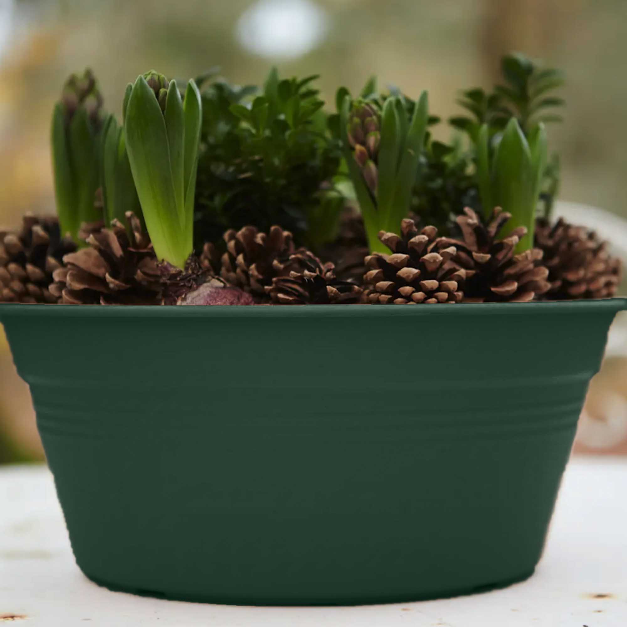 1b4c1341554faefe0129d8a114ef59f4