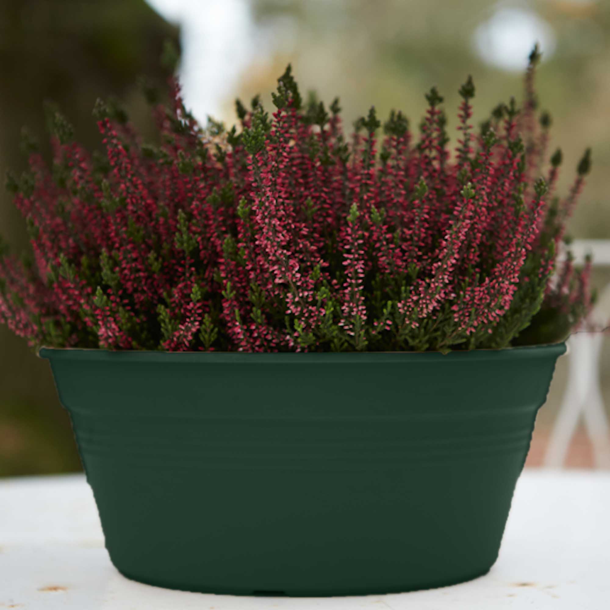 75f6402dea5eca134c1341381f14c160