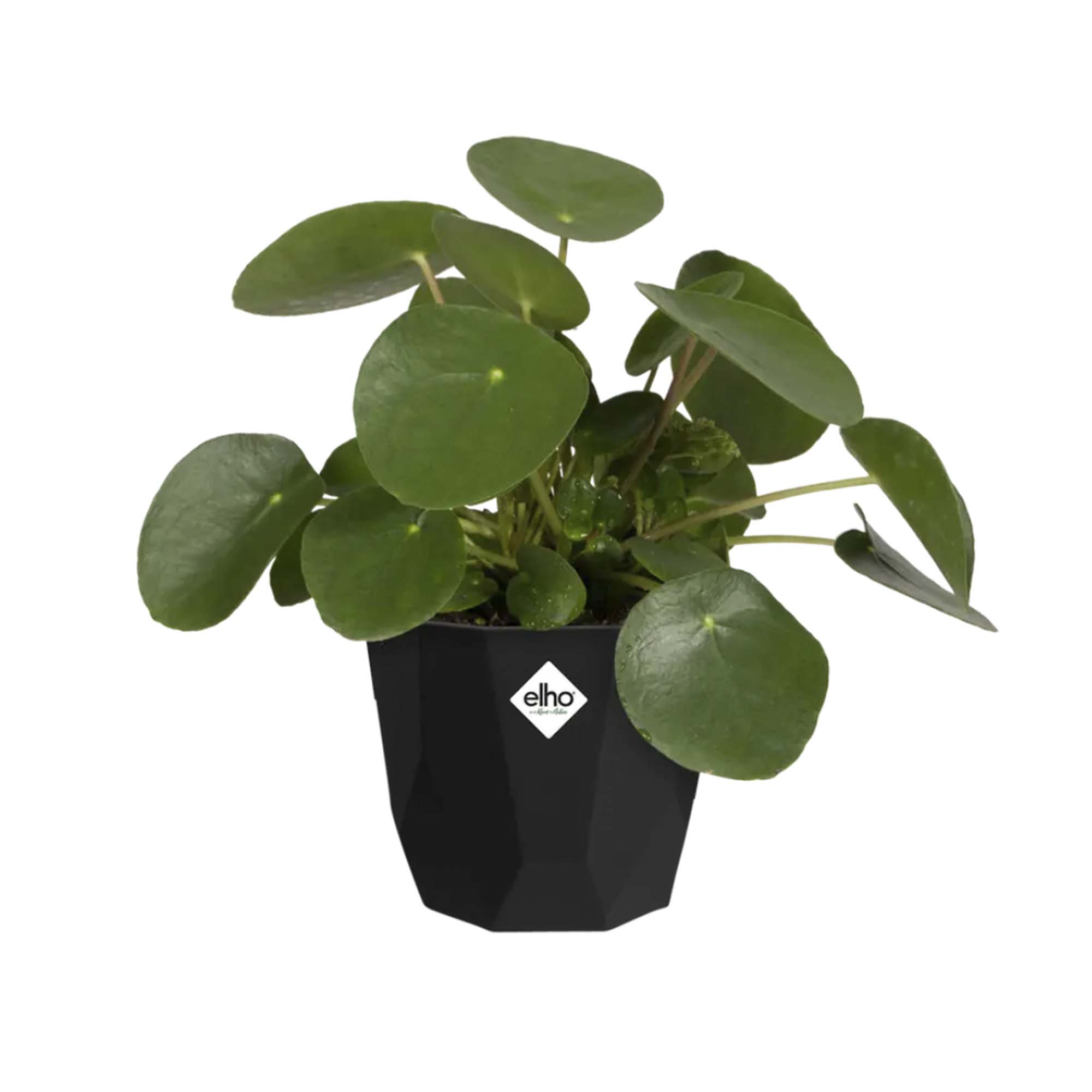 f9de4af4b442ea225de3c3871b083f8b