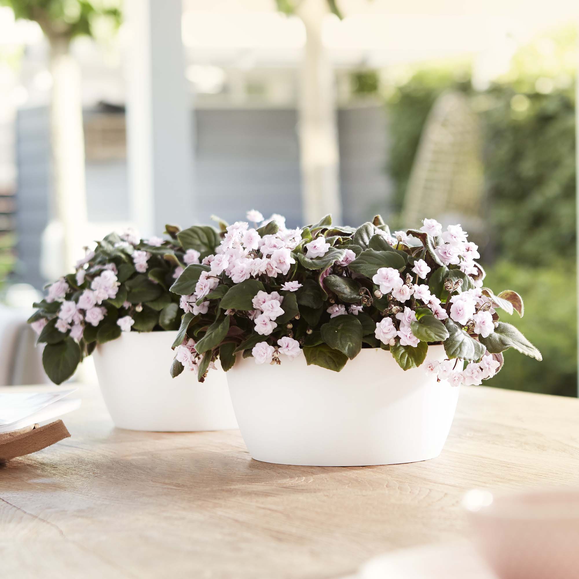 f41722c9e1b06345f5a664ba4f466170