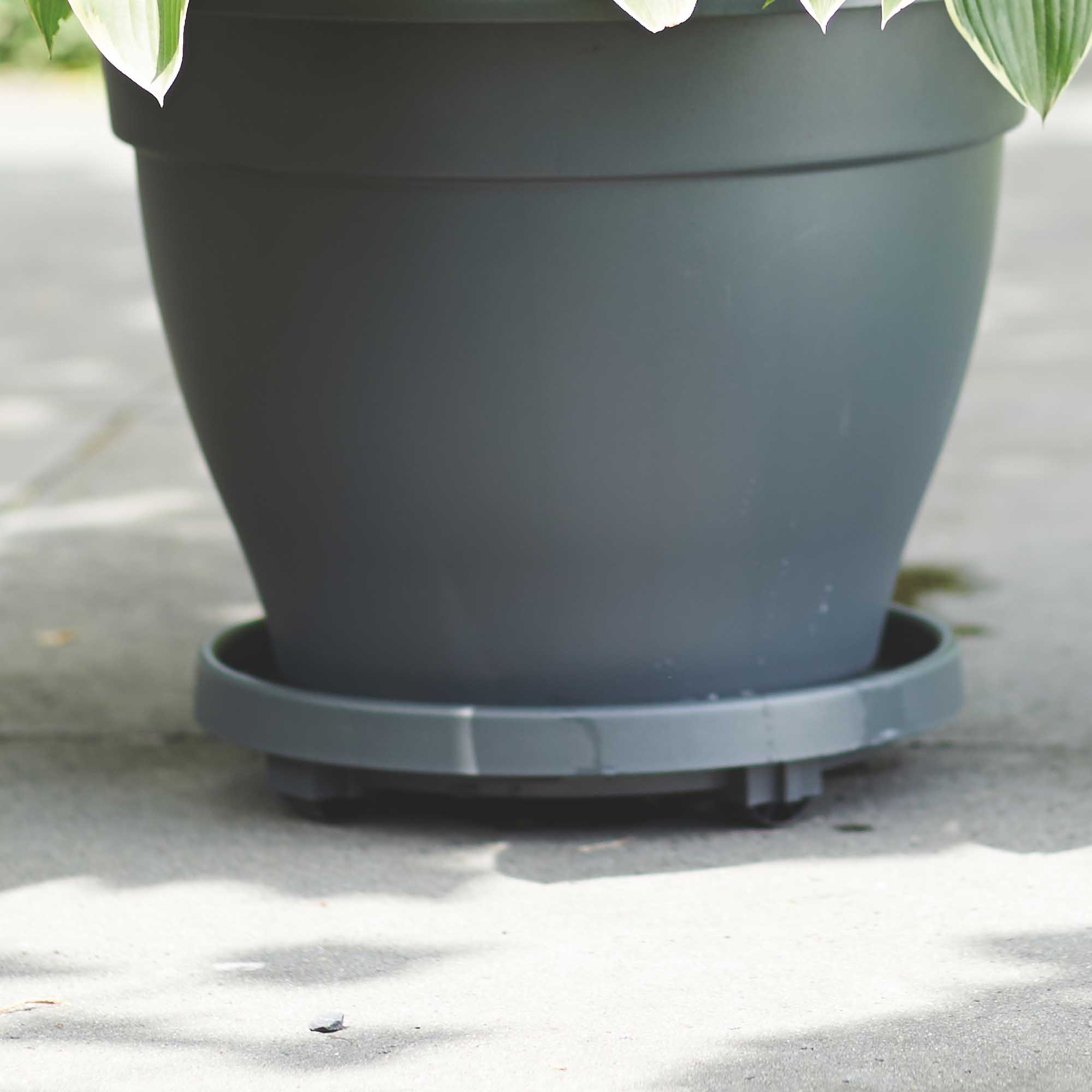 913a35517d3dc8f895604cddfe9cf7bd