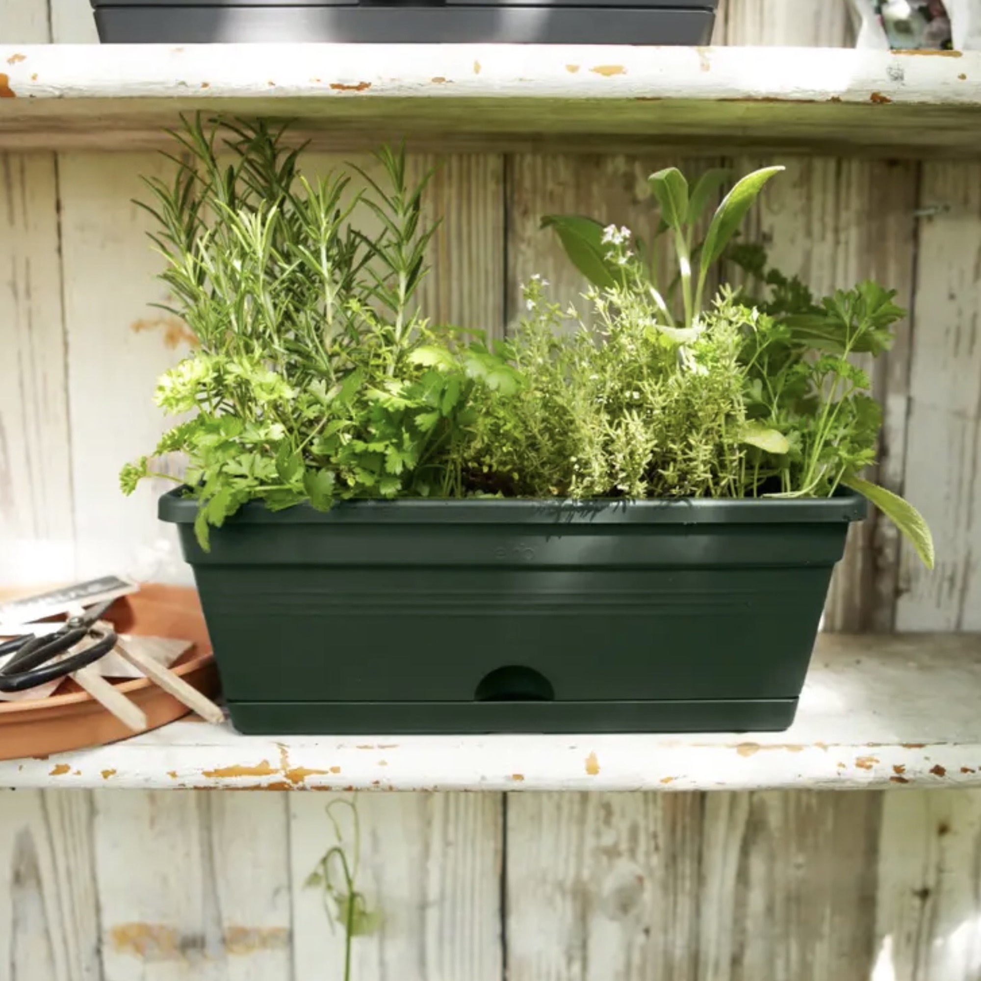 cbe8219818e35ad50809a0edacf8bec1