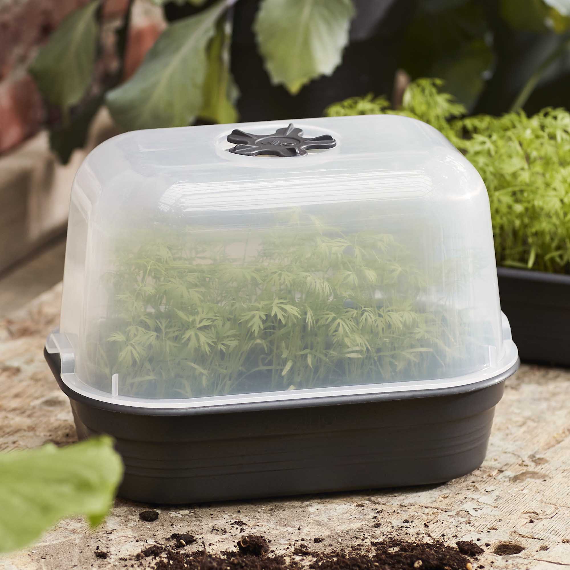 c3377791c6b07f66ef398ec10772e08c