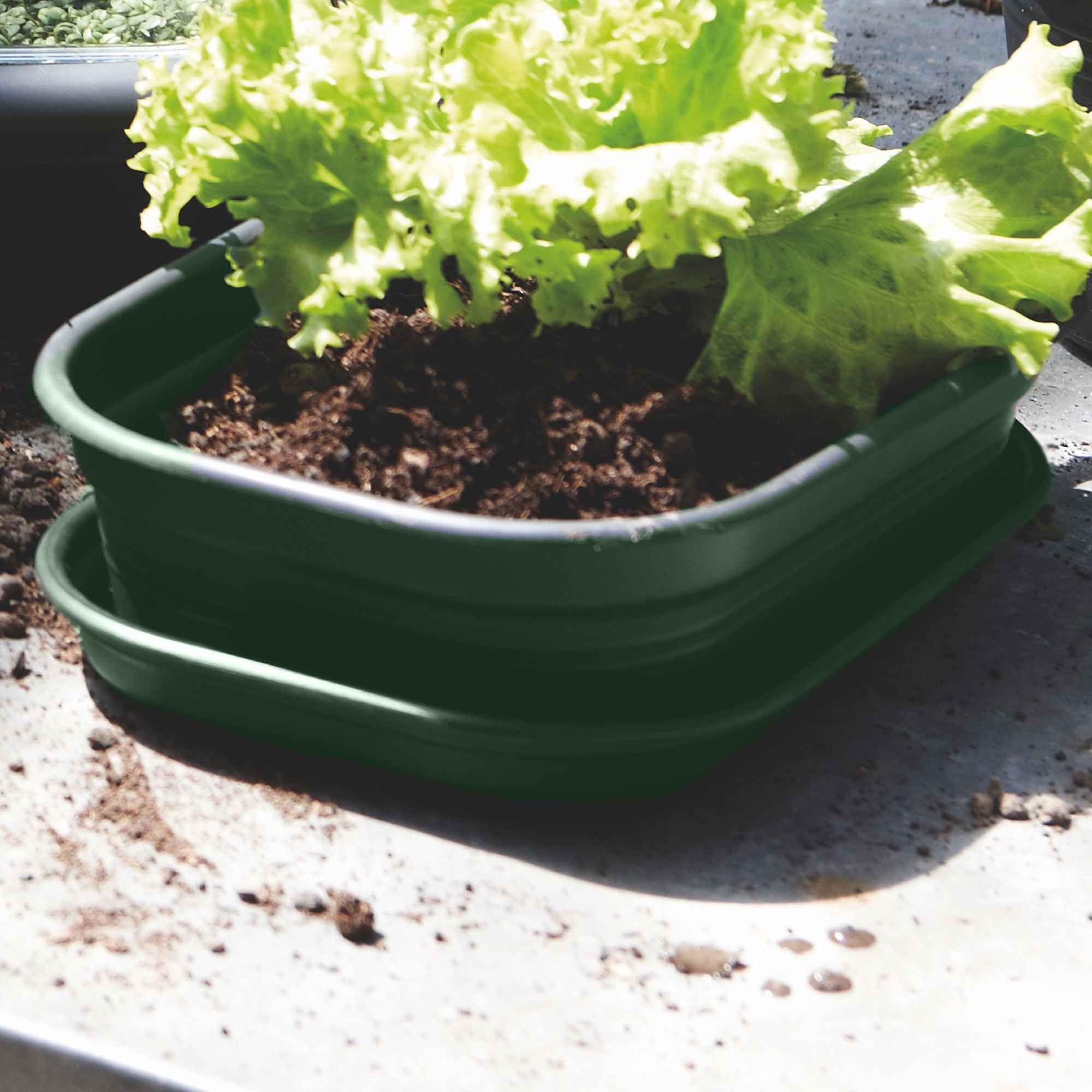 d0da47db59d5aa99ca1dd4aa8653594f