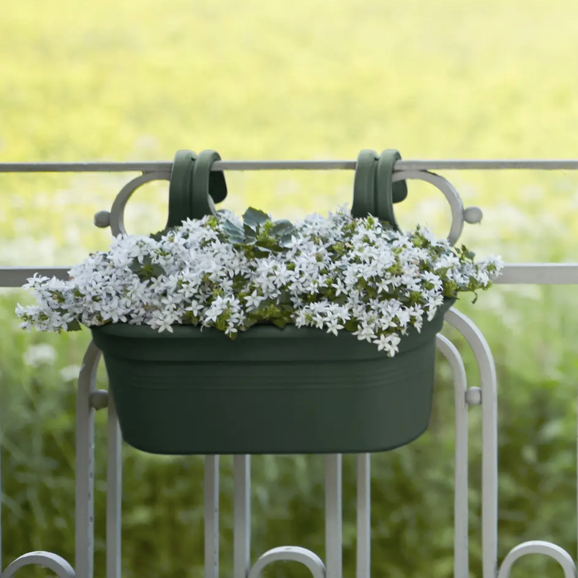 1dbe4a555e46ff94681cd05159264c45