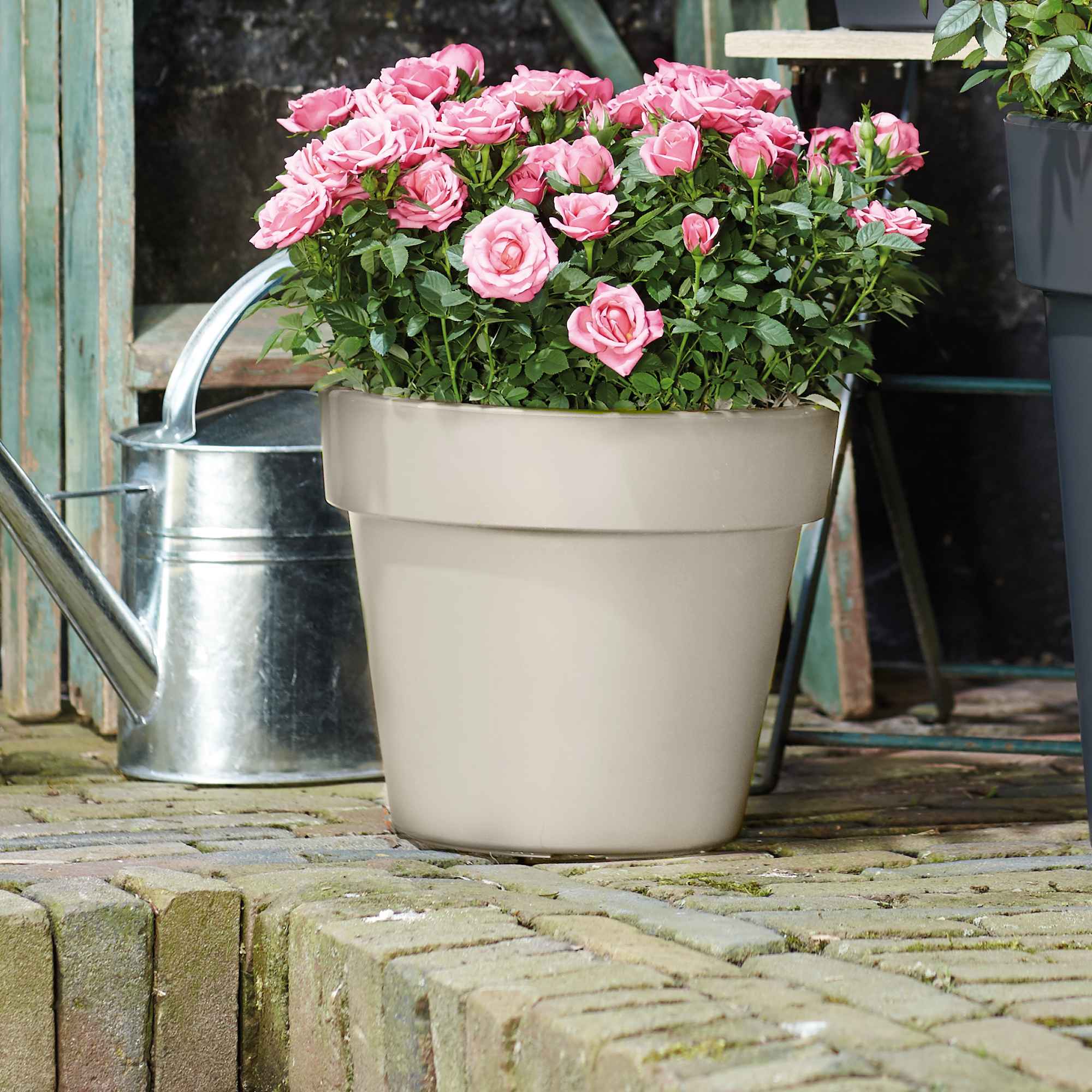 5544b83ce7928210ecc9357ceddb3b6c