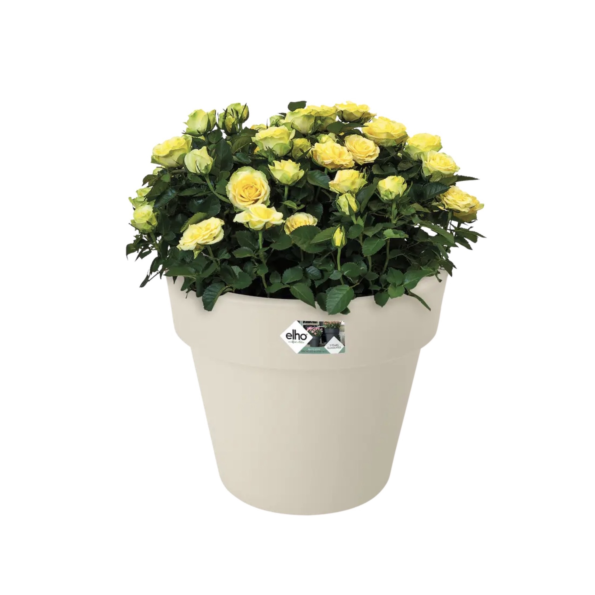 bc6a9f9fbf97f42a83e6212c6f36a1ba