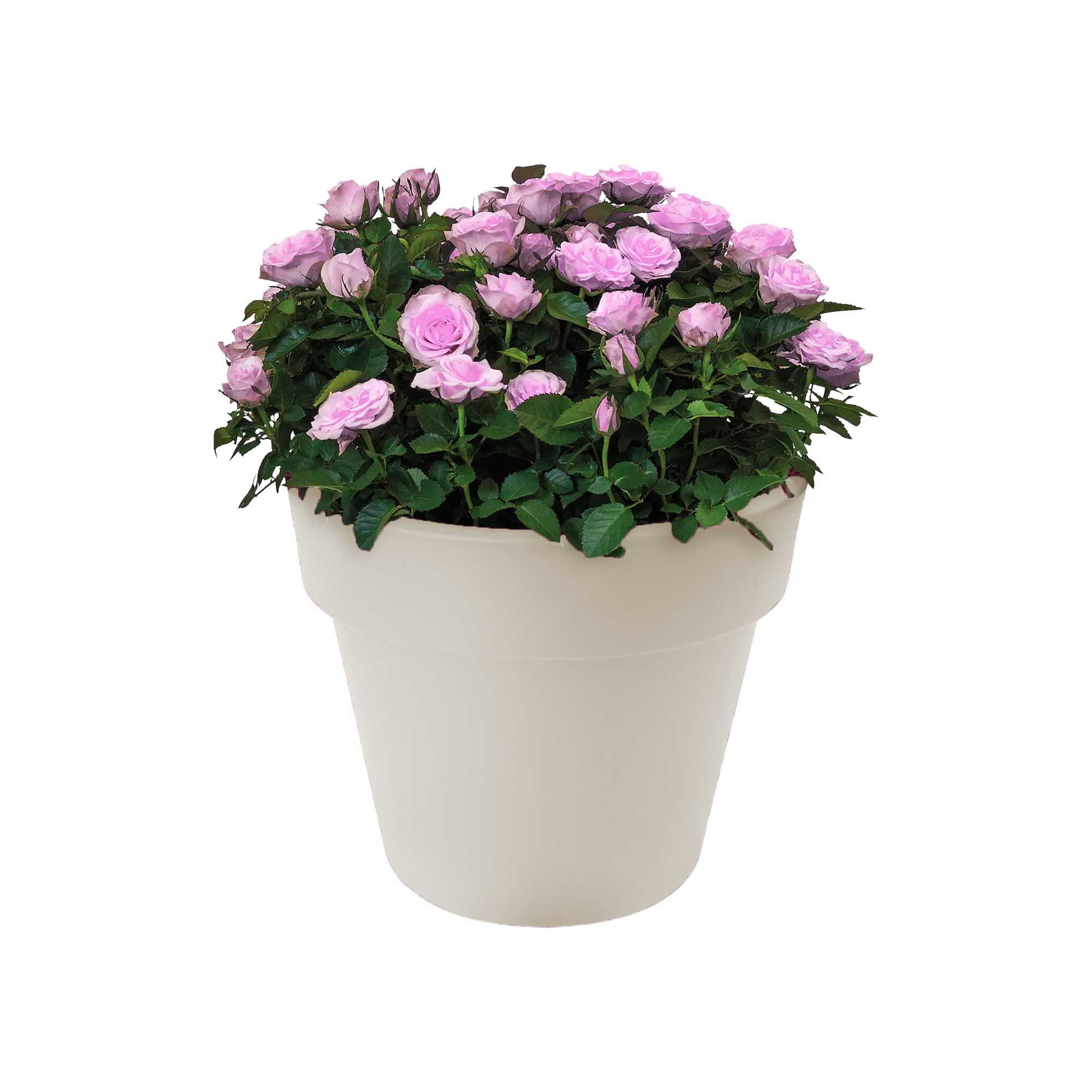 a42a91f79294d29a6ca0d8dfb85b237f